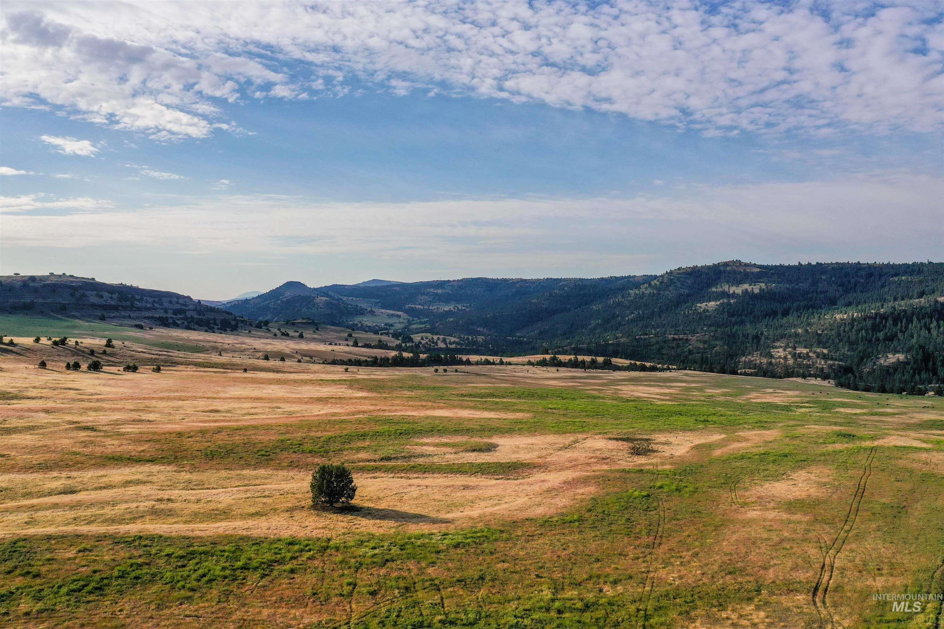 40035 Ritter Rd, Outside City Limits, Oregon 97856, Land For Sale, Price $2,400,000,MLS 98913069