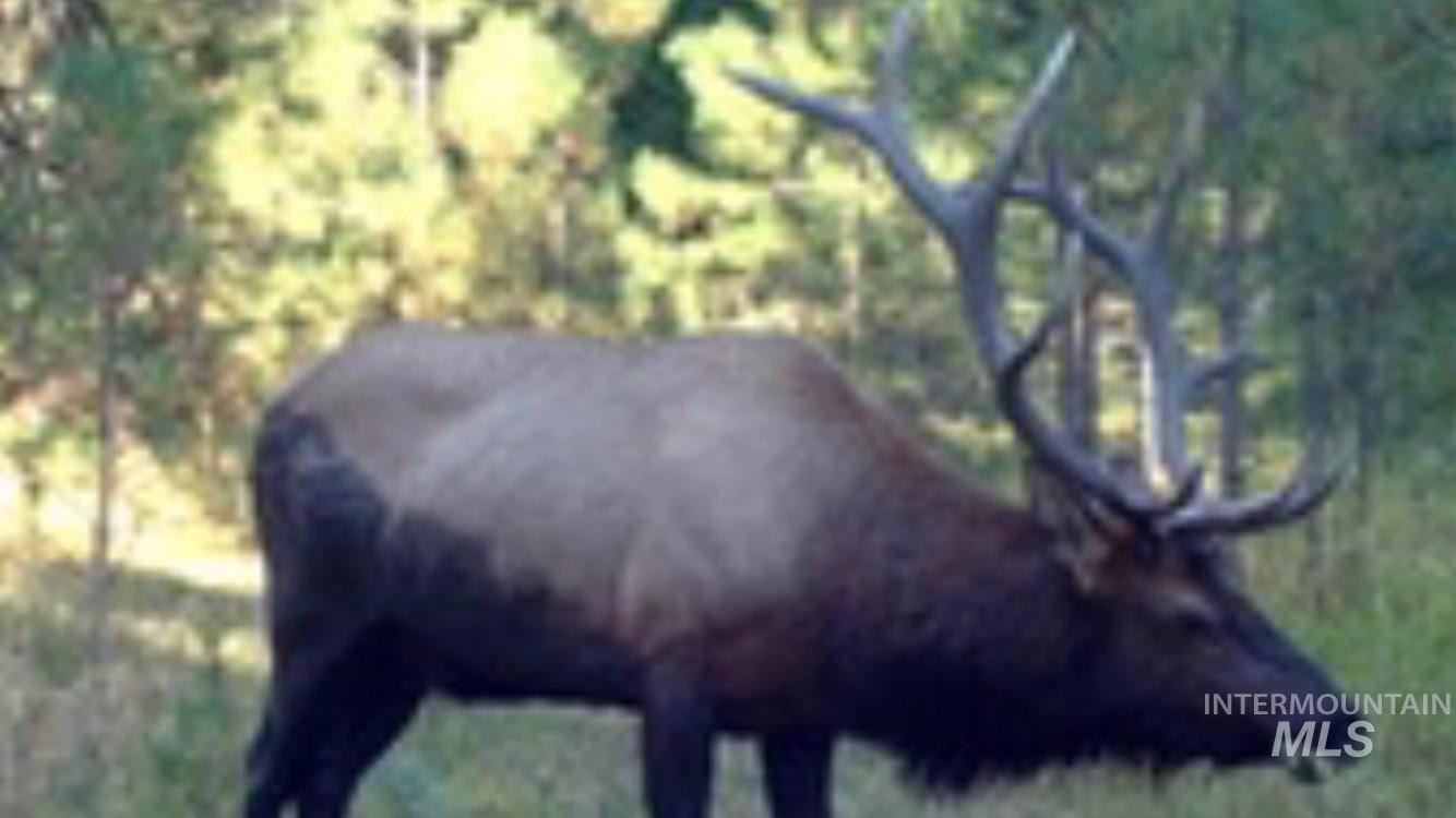 40035 Ritter Rd, Outside City Limits, Oregon 97856, Land For Sale, Price $2,400,000,MLS 98913069