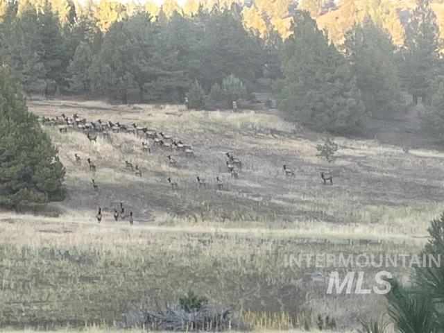 40035 Ritter Rd, Outside City Limits, Oregon 97856, Land For Sale, Price $2,400,000,MLS 98913069