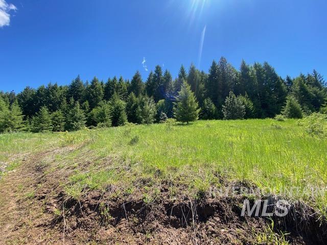 Lot 25 Shenandoah, Kamiah, Idaho 83536, Land For Sale, Price $125,000,MLS 98913207