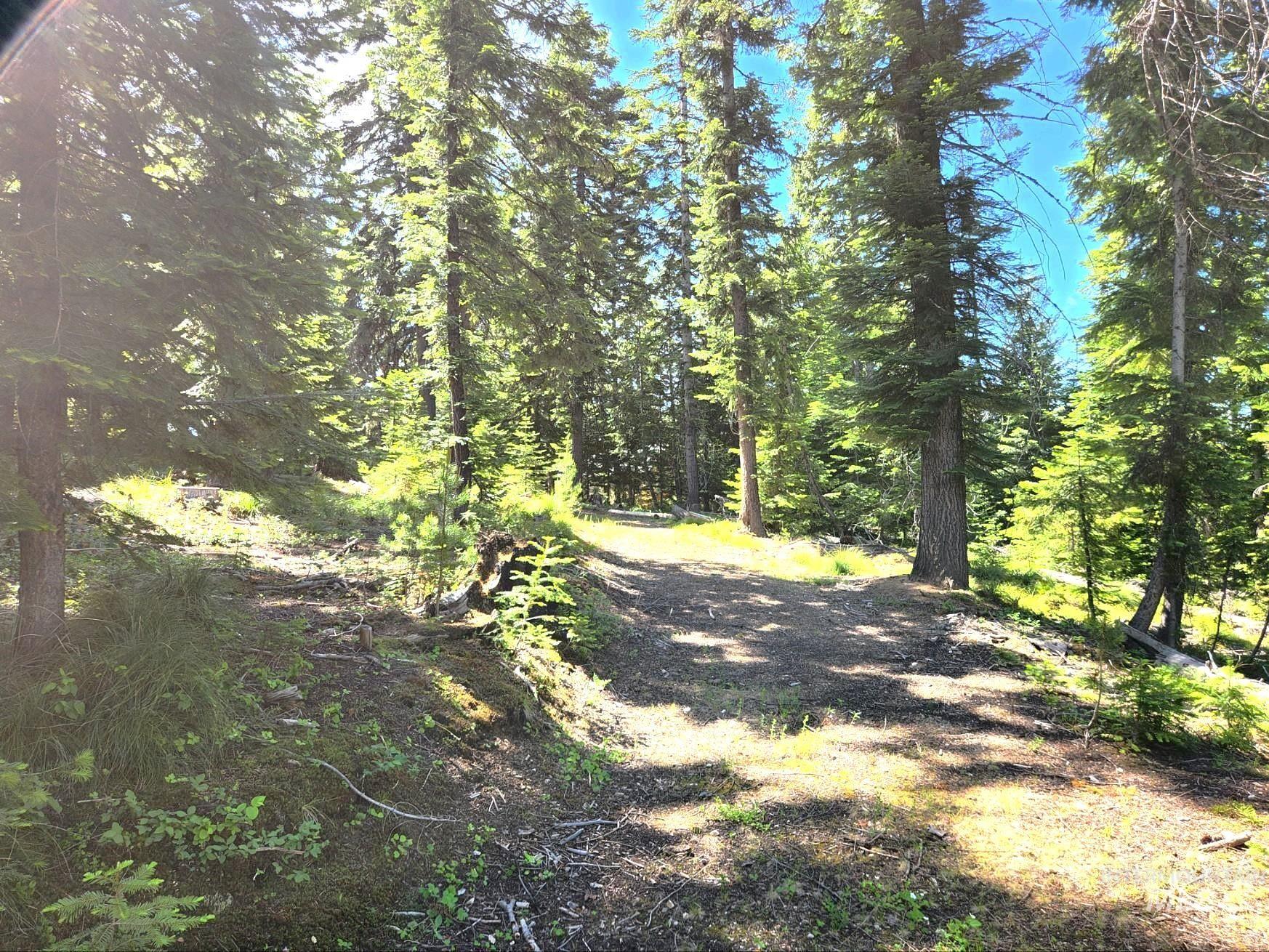 524 Rhett Creek Road, Dixie, Idaho 83525-0000, 1 Bedroom, Residential For Sale, Price $389,000, 98913788