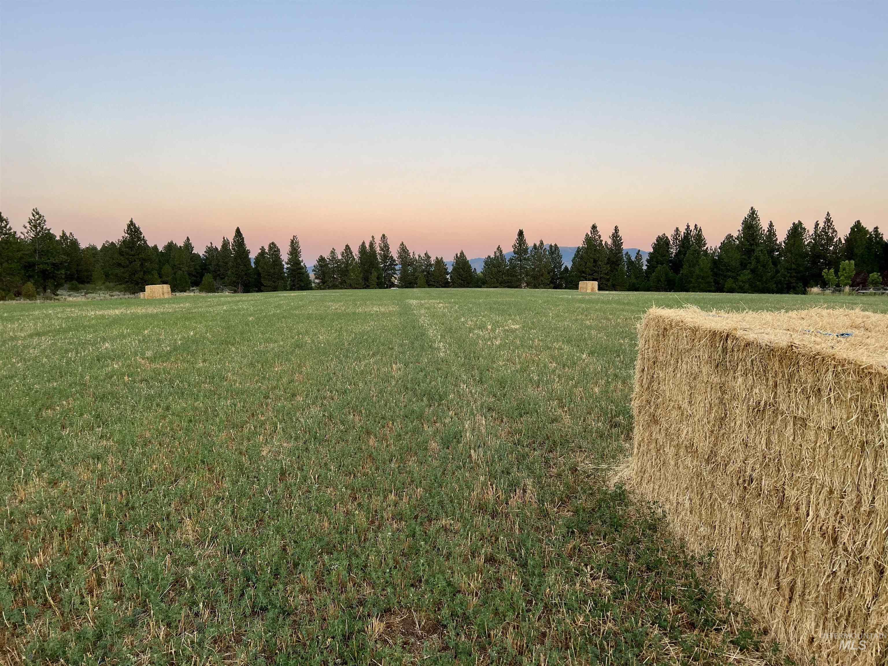 170 N Wildflower Way, Prairie, Idaho 83647, 3 Bedrooms, 2.5 Bathrooms, Residential For Sale, Price $2,500,000, 98913792