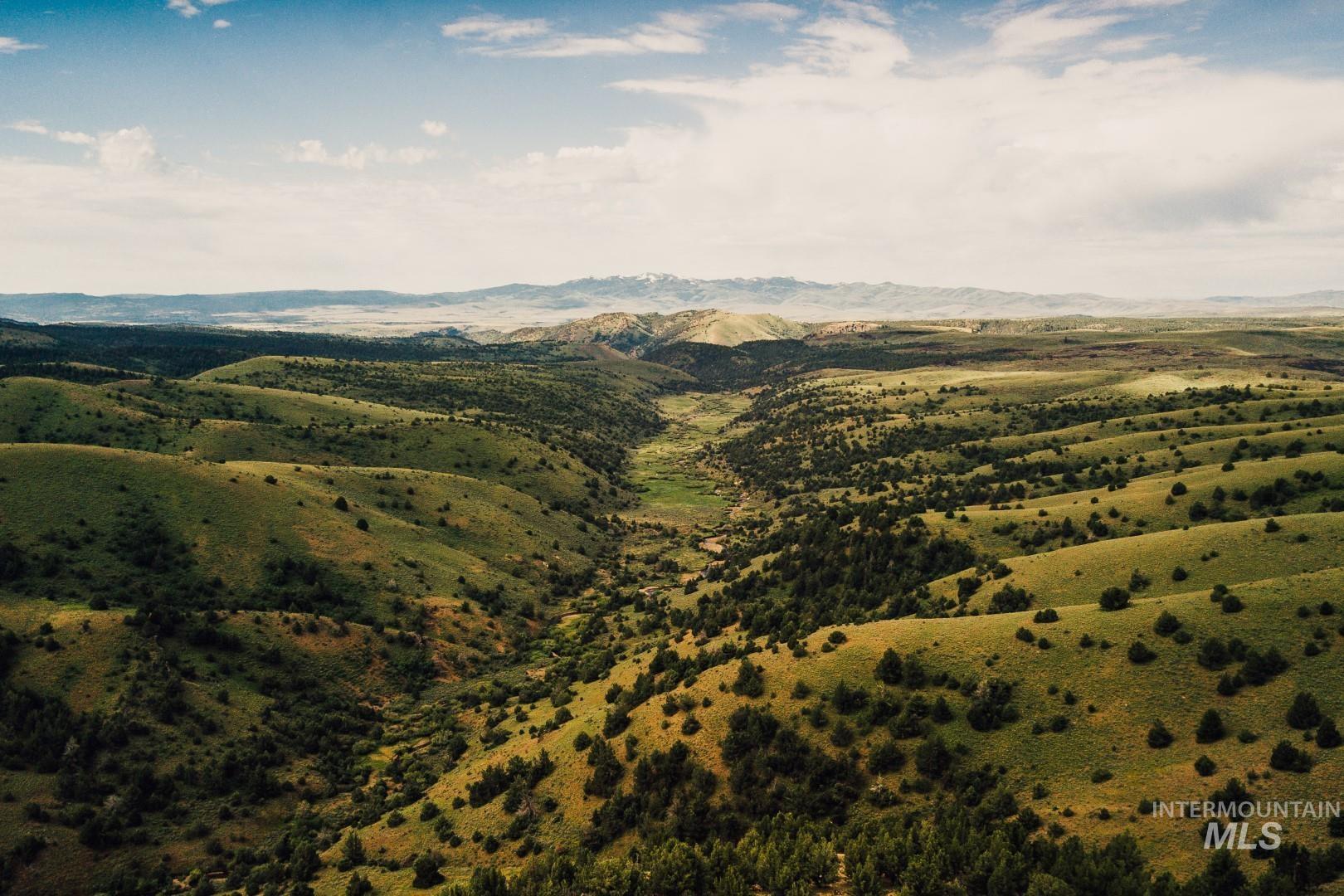 6695 Flint Creek Rd, Jordan Valley, Idaho 97910, 3 Bedrooms, 1 Bathroom, Farm & Ranch For Sale, Price $14,900,000,MLS 98913838