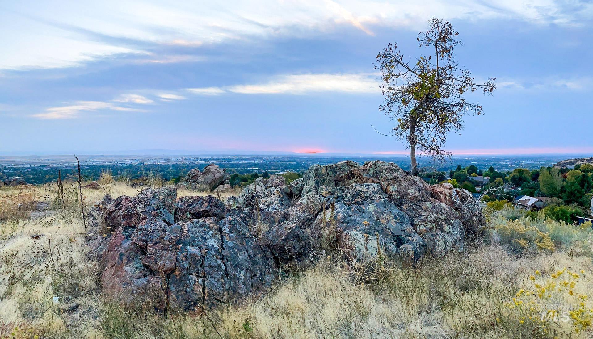 1963 S Satellite Way, Boise, Idaho 83712, 3 Bedrooms, 3.5 Bathrooms, Residential For Sale, Price $4,492,000, 98914071