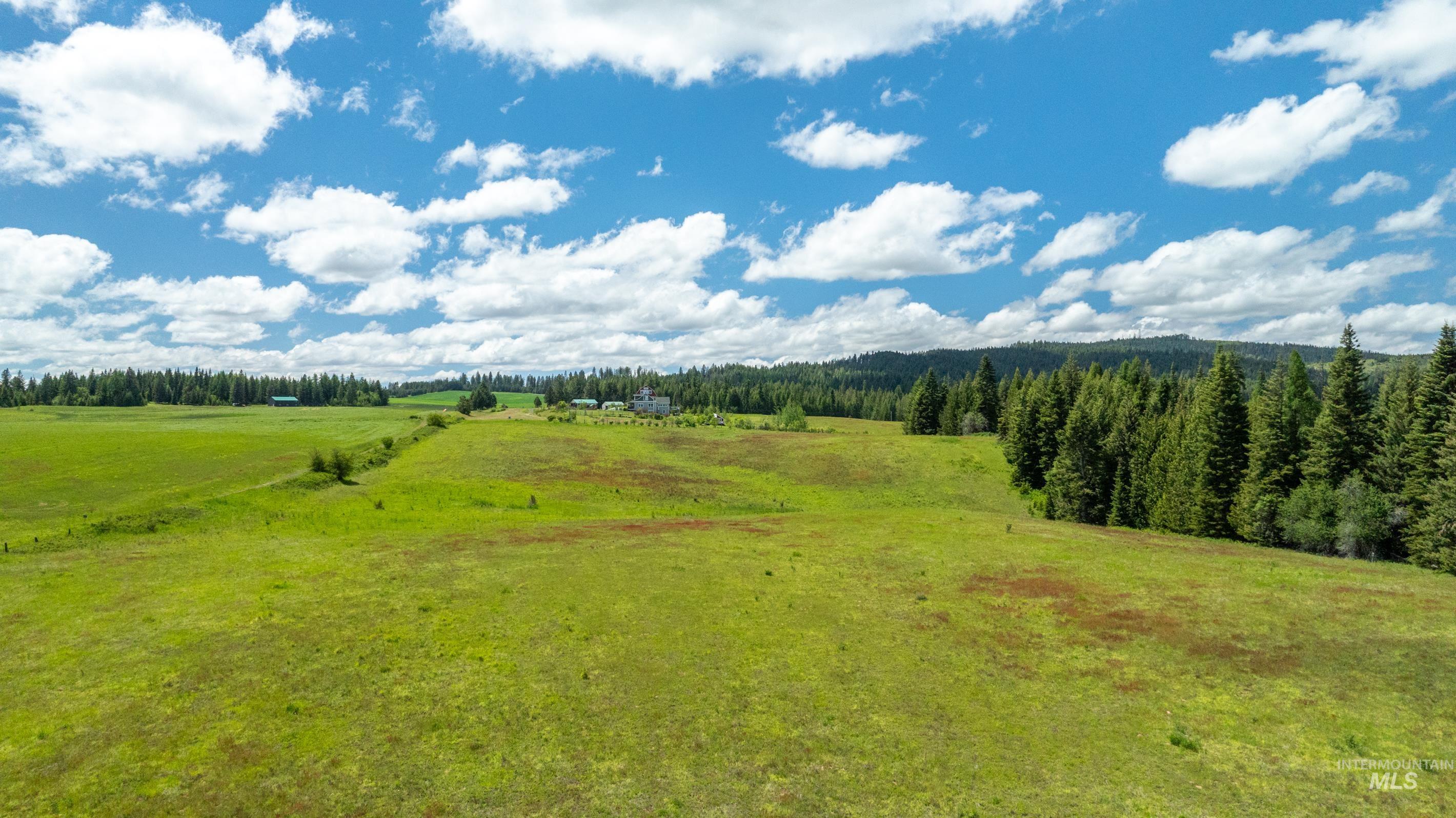 TBD Barley Drive, Lenore, Idaho 83541, Land For Sale, Price $1,199,900,MLS 98914237
