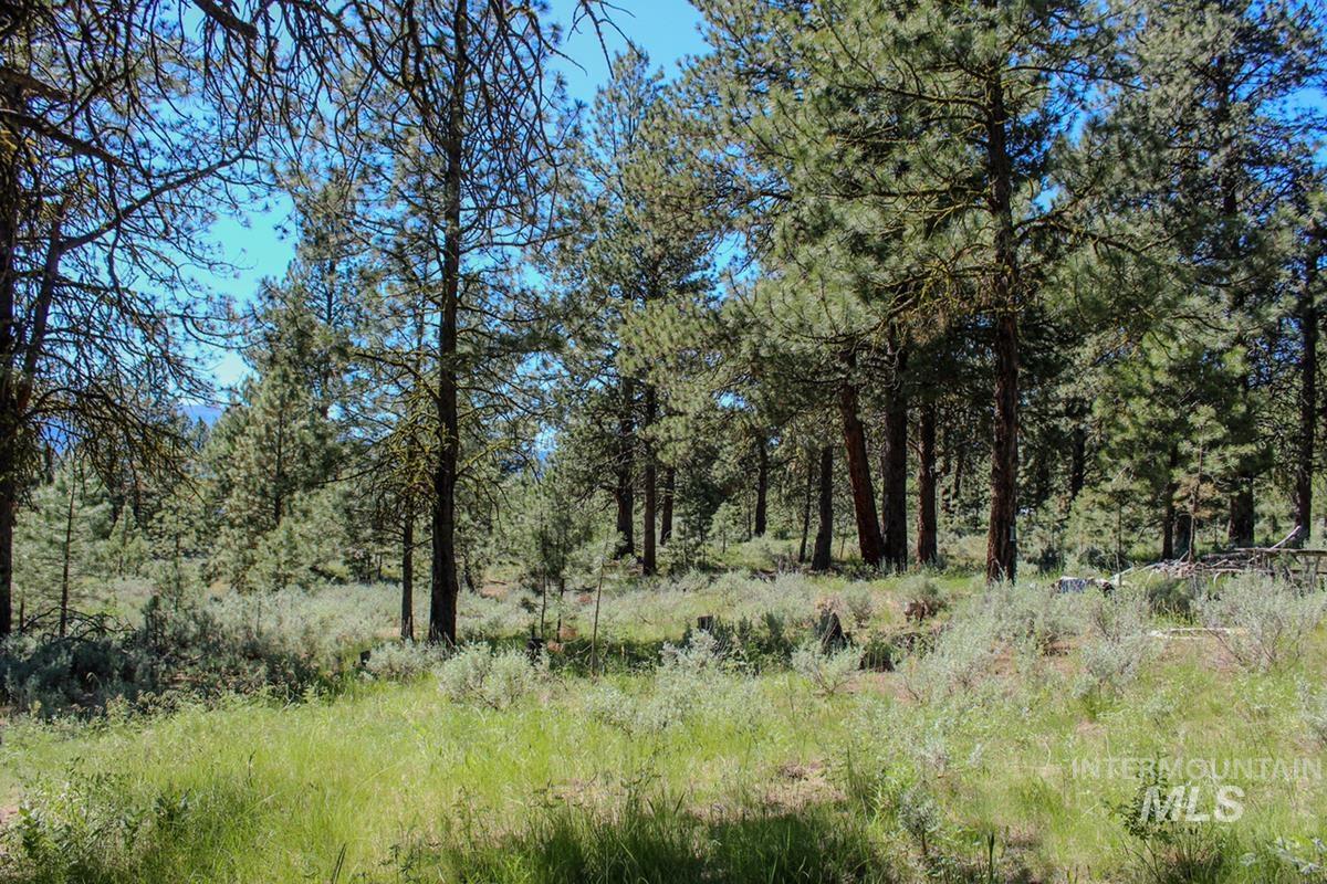 14 Pelican Place, Cascade, Idaho 83611, Land For Sale, Price $190,000,MLS 98914252