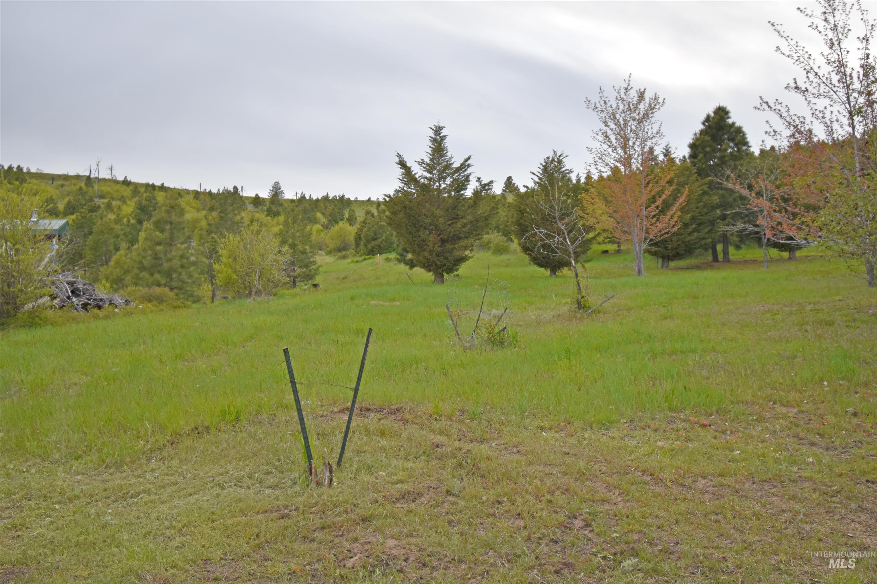 109 Fireman Canyon Road, Pomeroy, Washington 99347, 3 Bedrooms, 2 Bathrooms, Residential For Sale, Price $739,000, 98914295