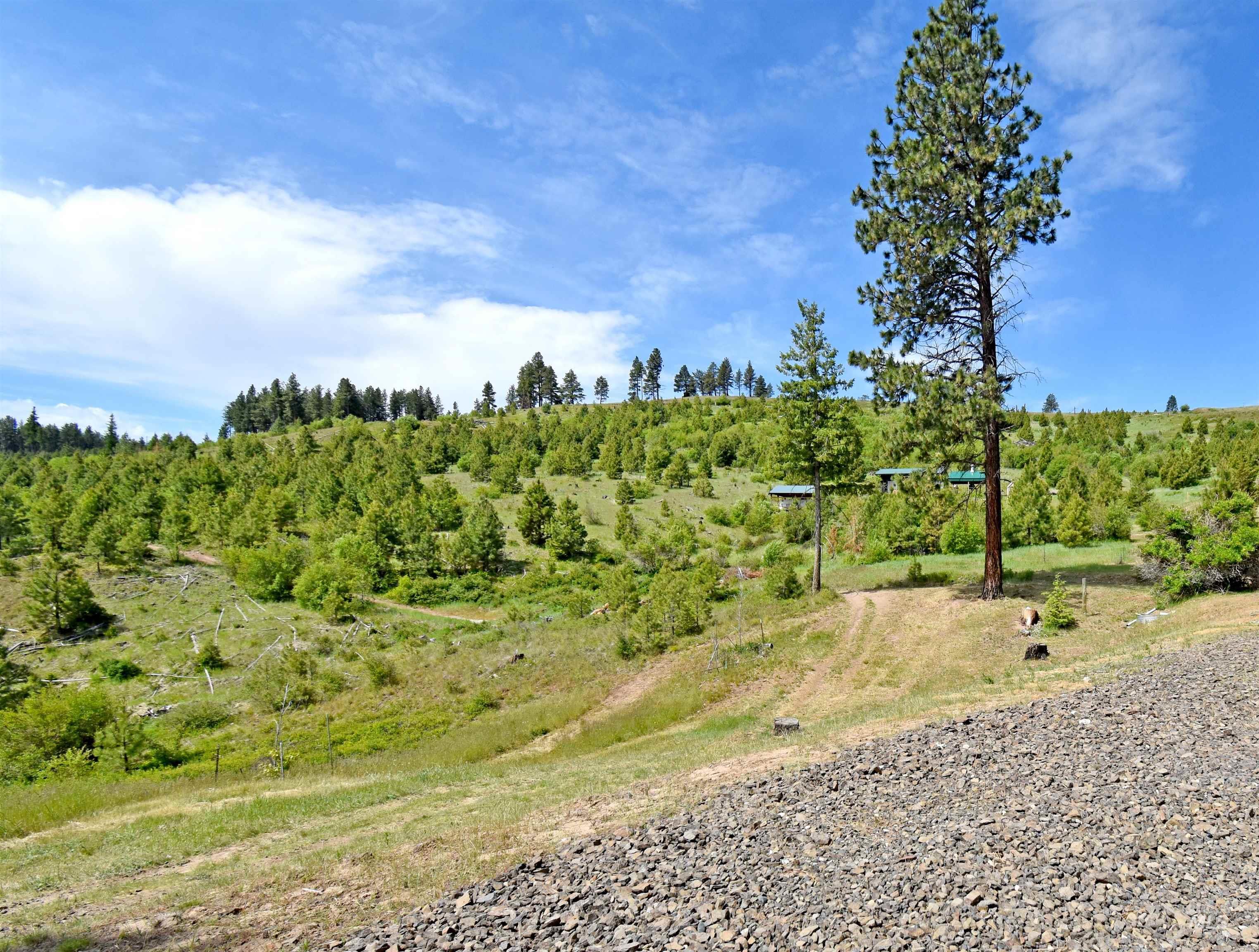 109 Fireman Canyon Road, Pomeroy, Washington 99347, 3 Bedrooms, 2 Bathrooms, Residential For Sale, Price $739,000, 98914295