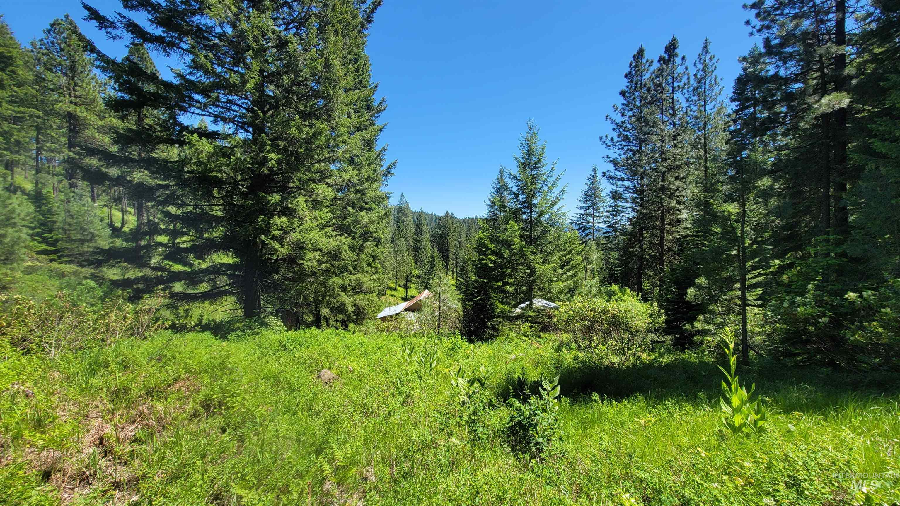 TBD Hwy 95, Council, Idaho 83612, Land For Sale, Price $155,000,MLS 98914301