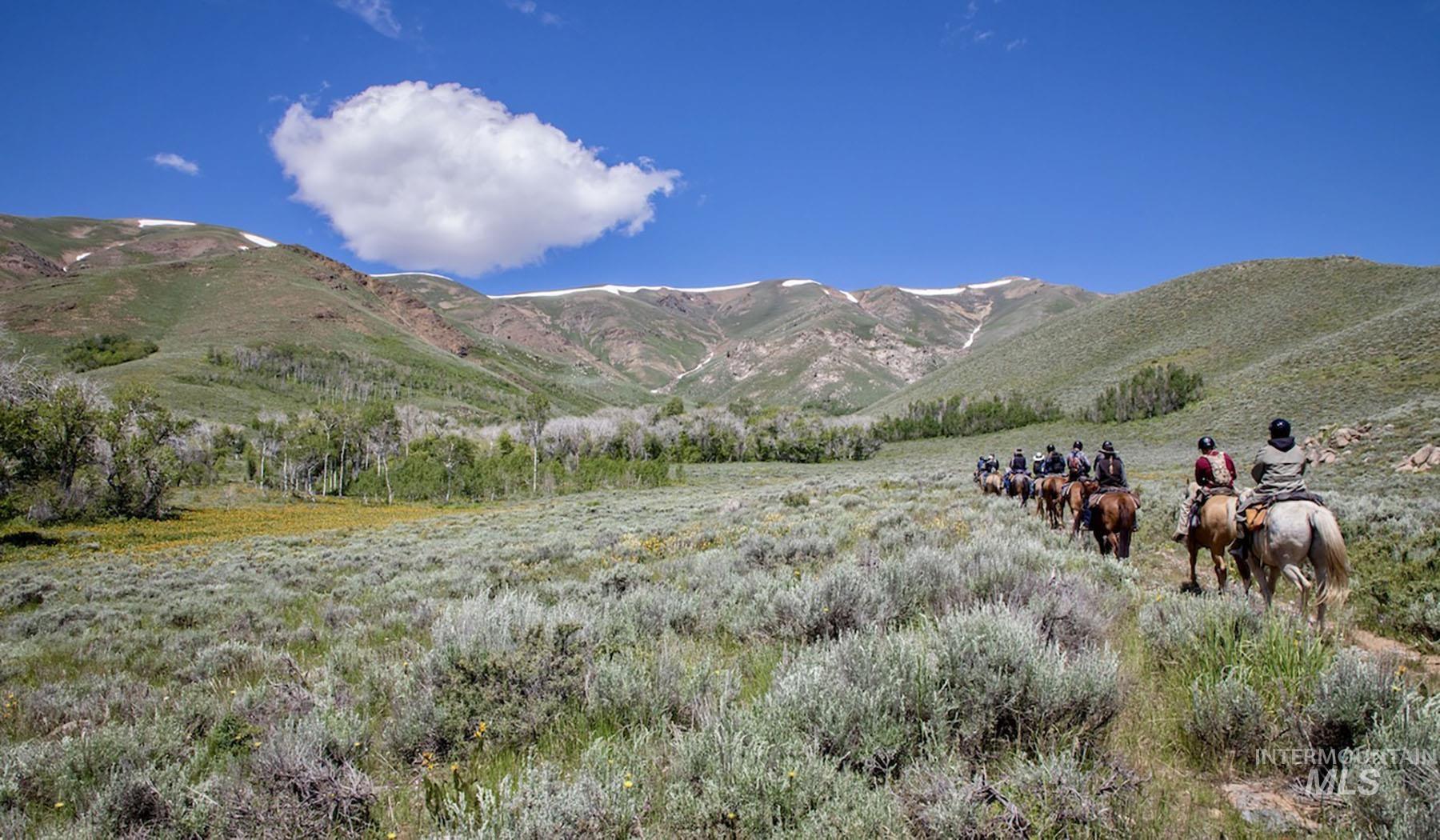 US Highway 20/26, Carey, Idaho 83320, Farm & Ranch For Sale, Price $3,200,000,MLS 98914388