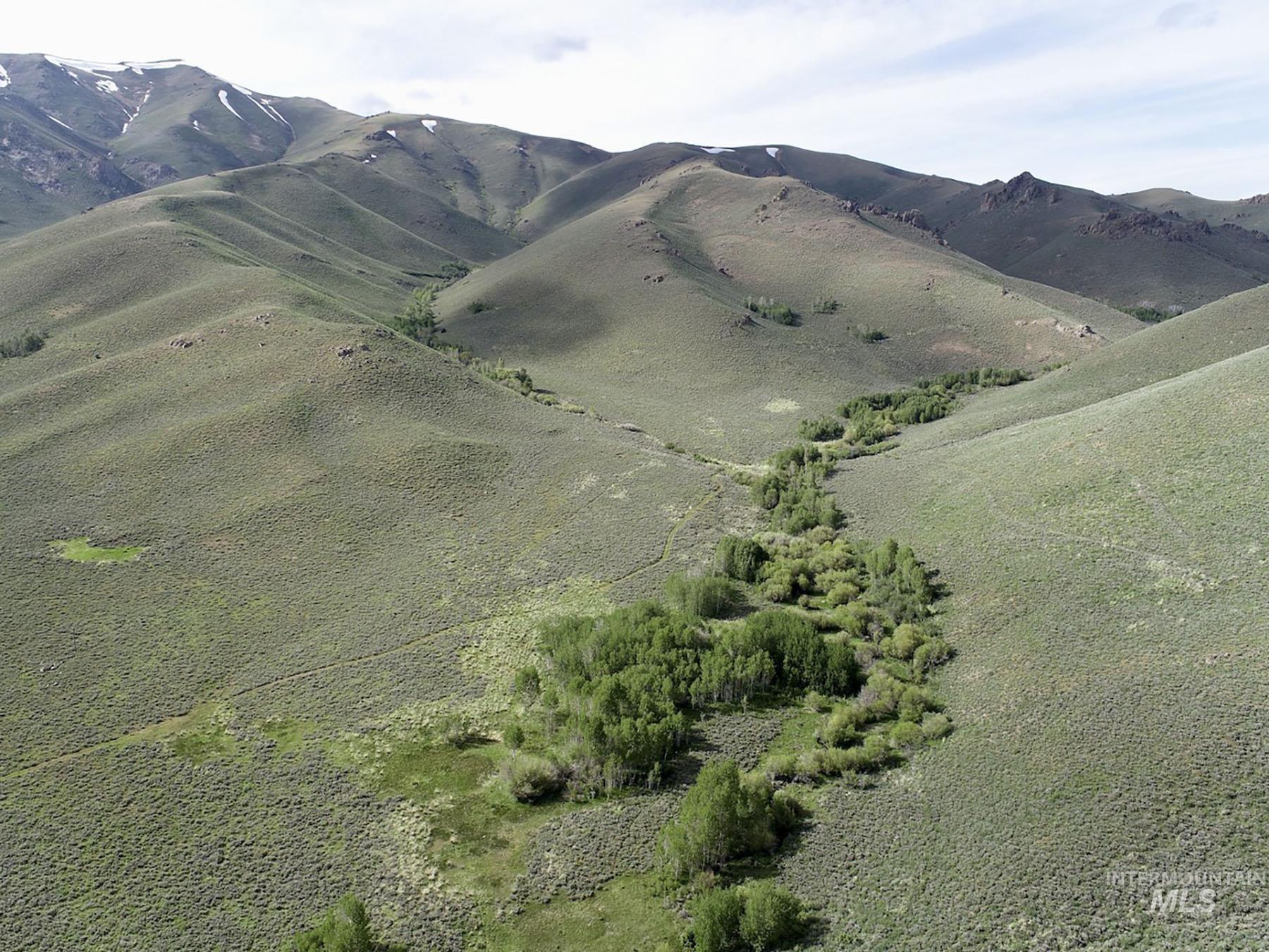 US Highway 20/26, Carey, Idaho 83320, Farm & Ranch For Sale, Price $3,200,000,MLS 98914388