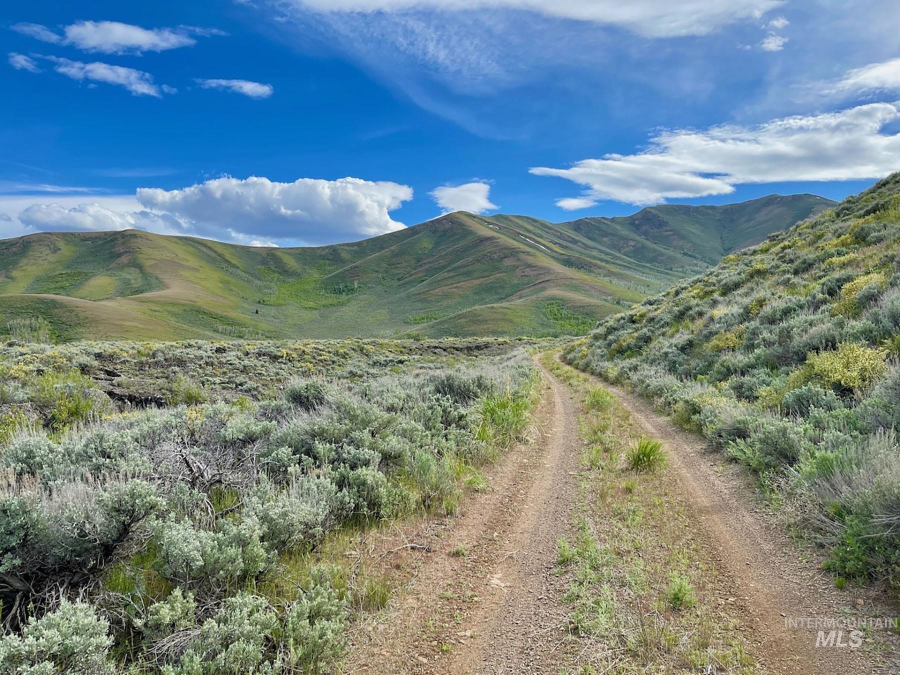 US Highway 20/26, Carey, Idaho 83320, Farm & Ranch For Sale, Price $3,200,000,MLS 98914388