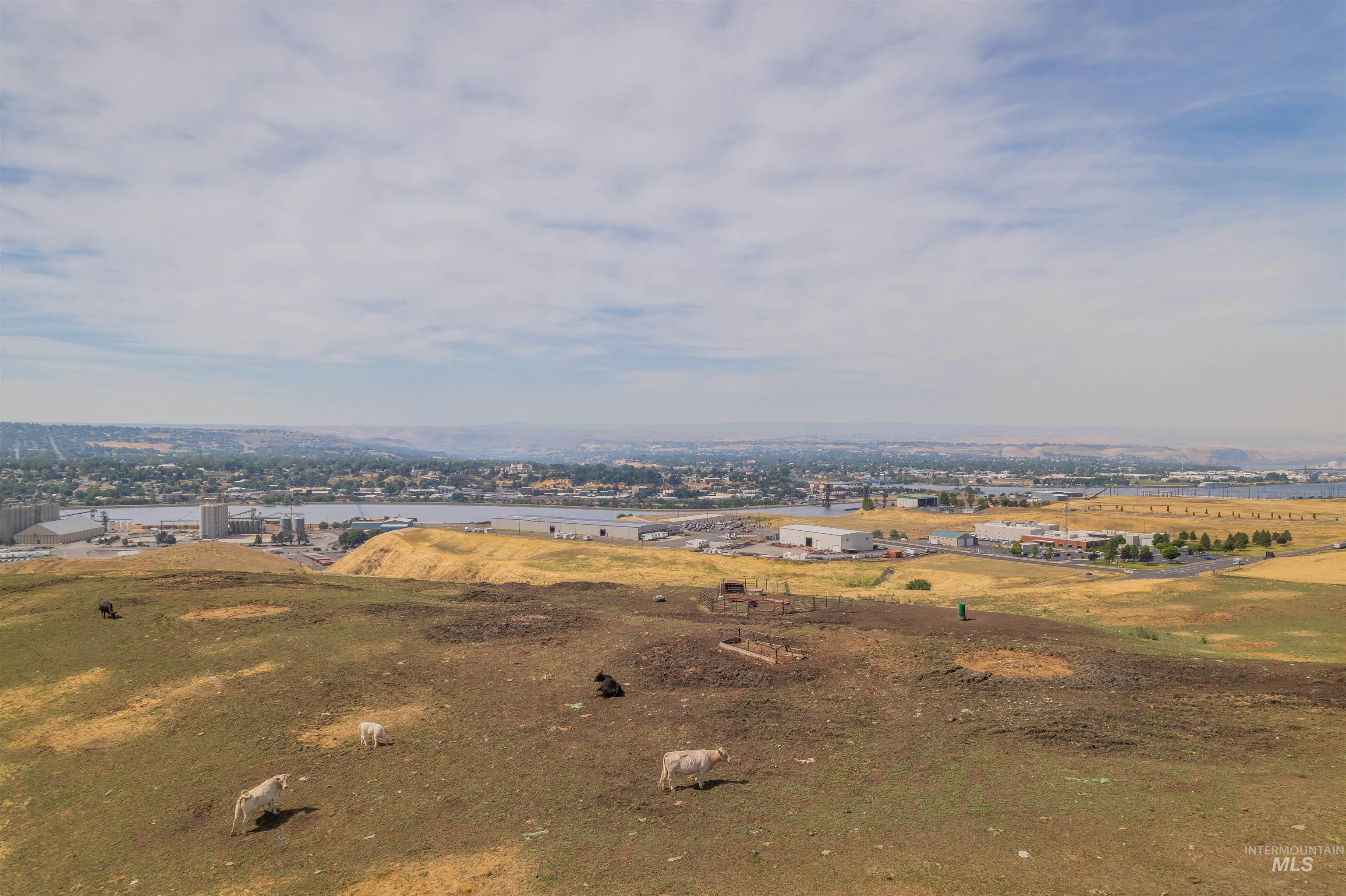 TBD Spiral Highway, Lewiston, Idaho 83501, Land For Sale, Price $1,170,000, 98914508