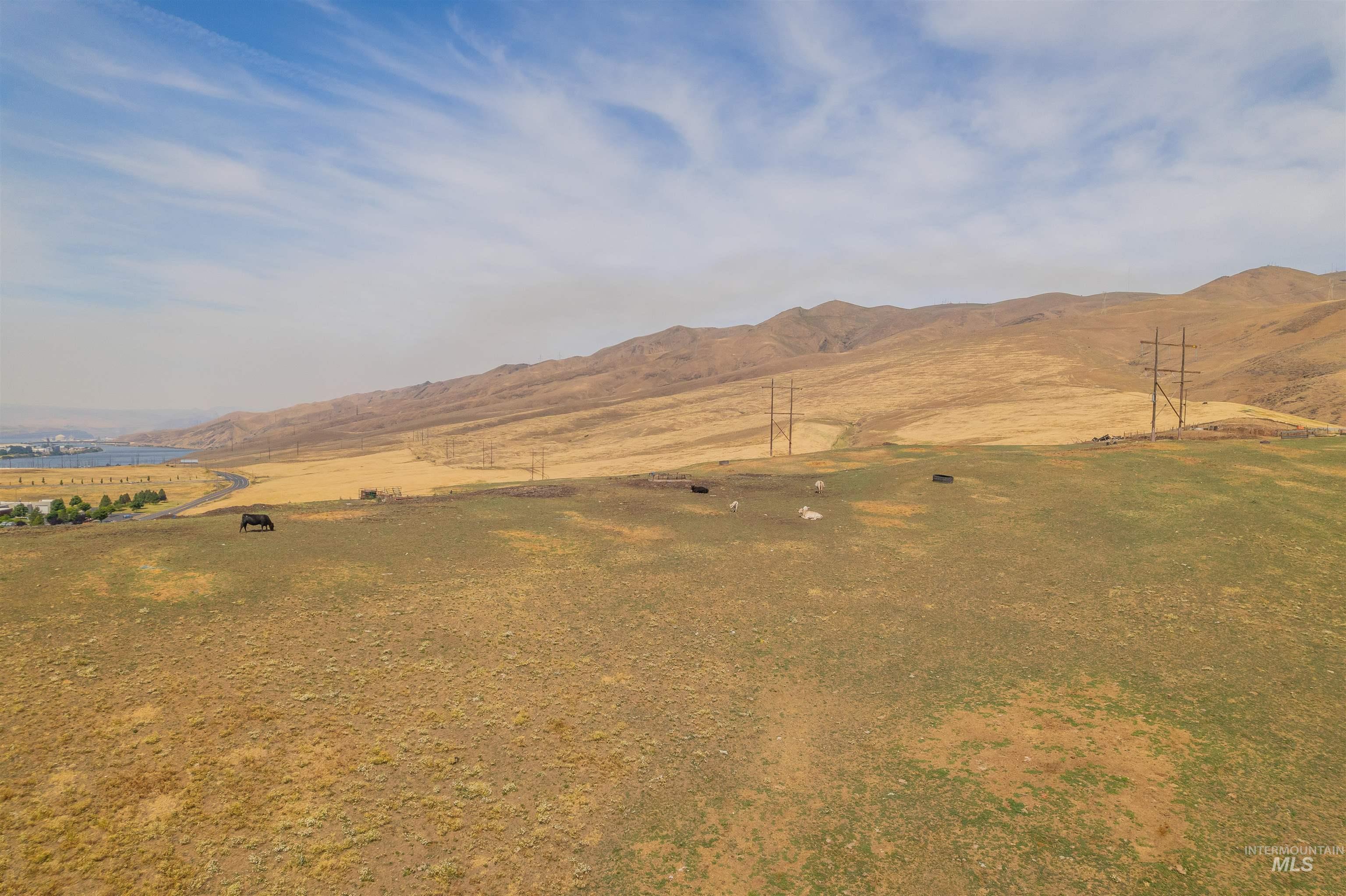 TBD Spiral Highway, Lewiston, Idaho 83501, Land For Sale, Price $1,170,000, 98914508