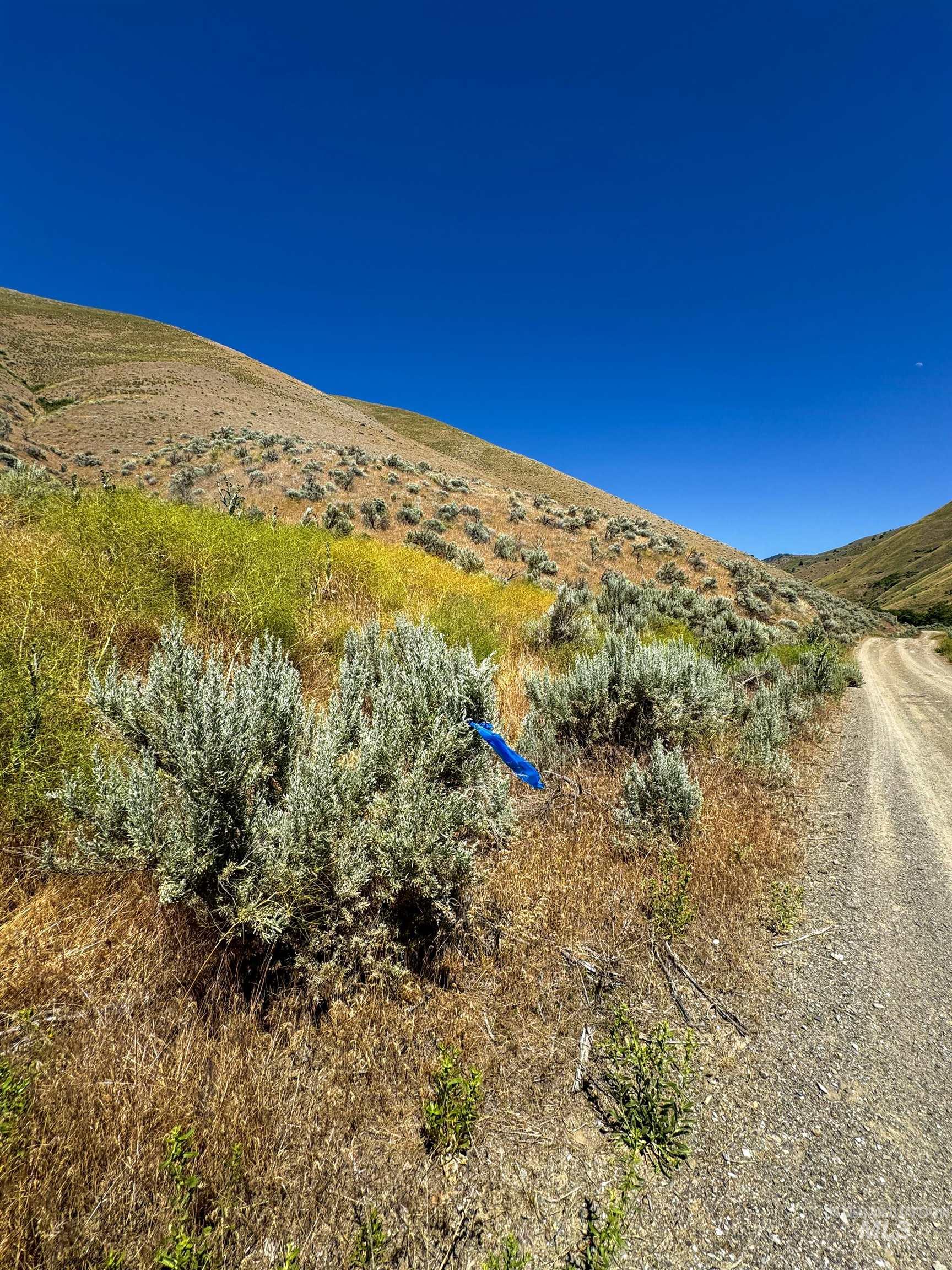 Lot 1, Parcel 1 Dennett Creek Rd, Weiser, Idaho 83672, Land For Sale, Price $65,000, 98914679