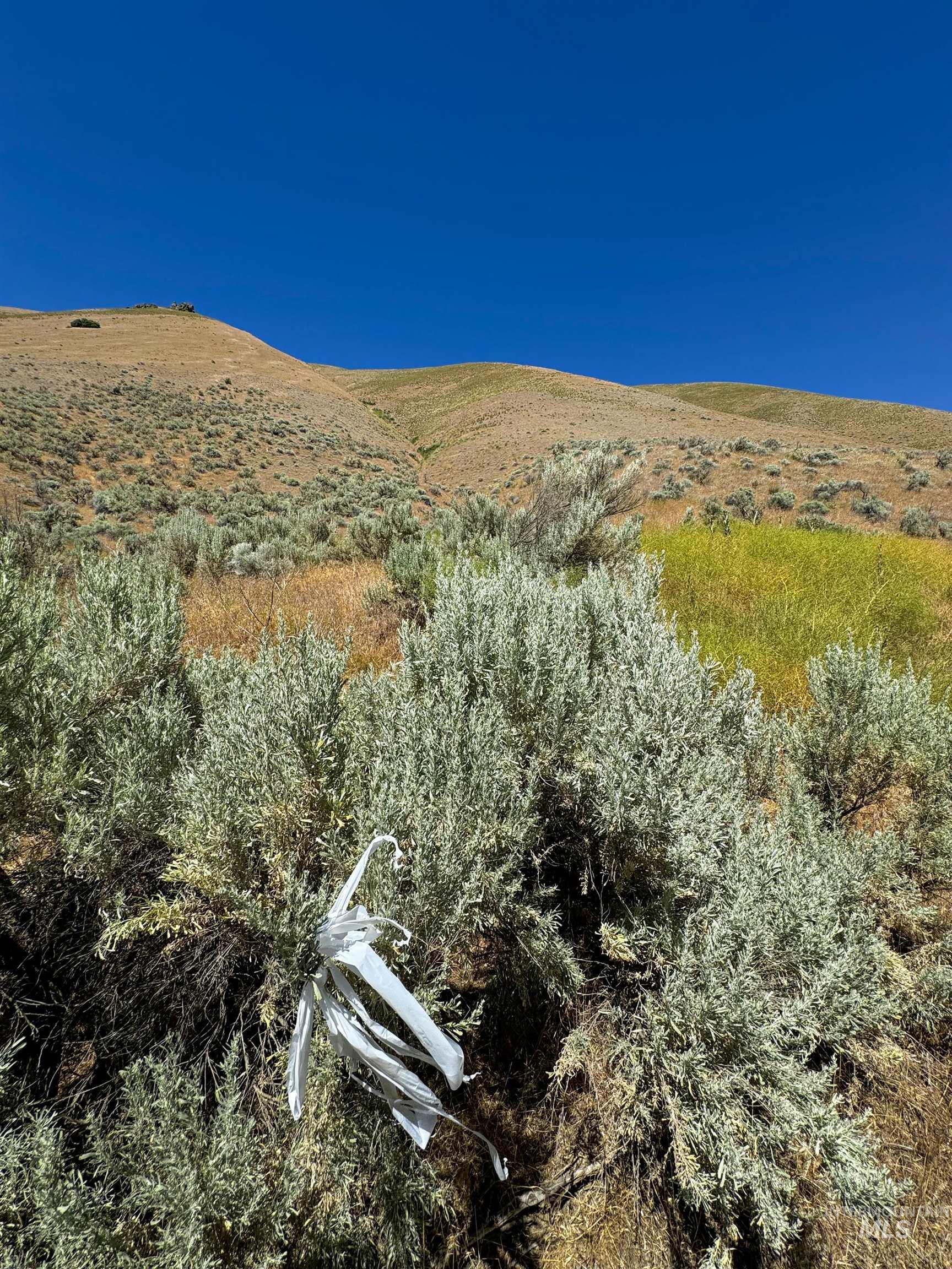 Lot 2, Parcel 1 Dennett Creek Rd, Weiser, Idaho 83672, Land For Sale, Price $75,000, 98914682