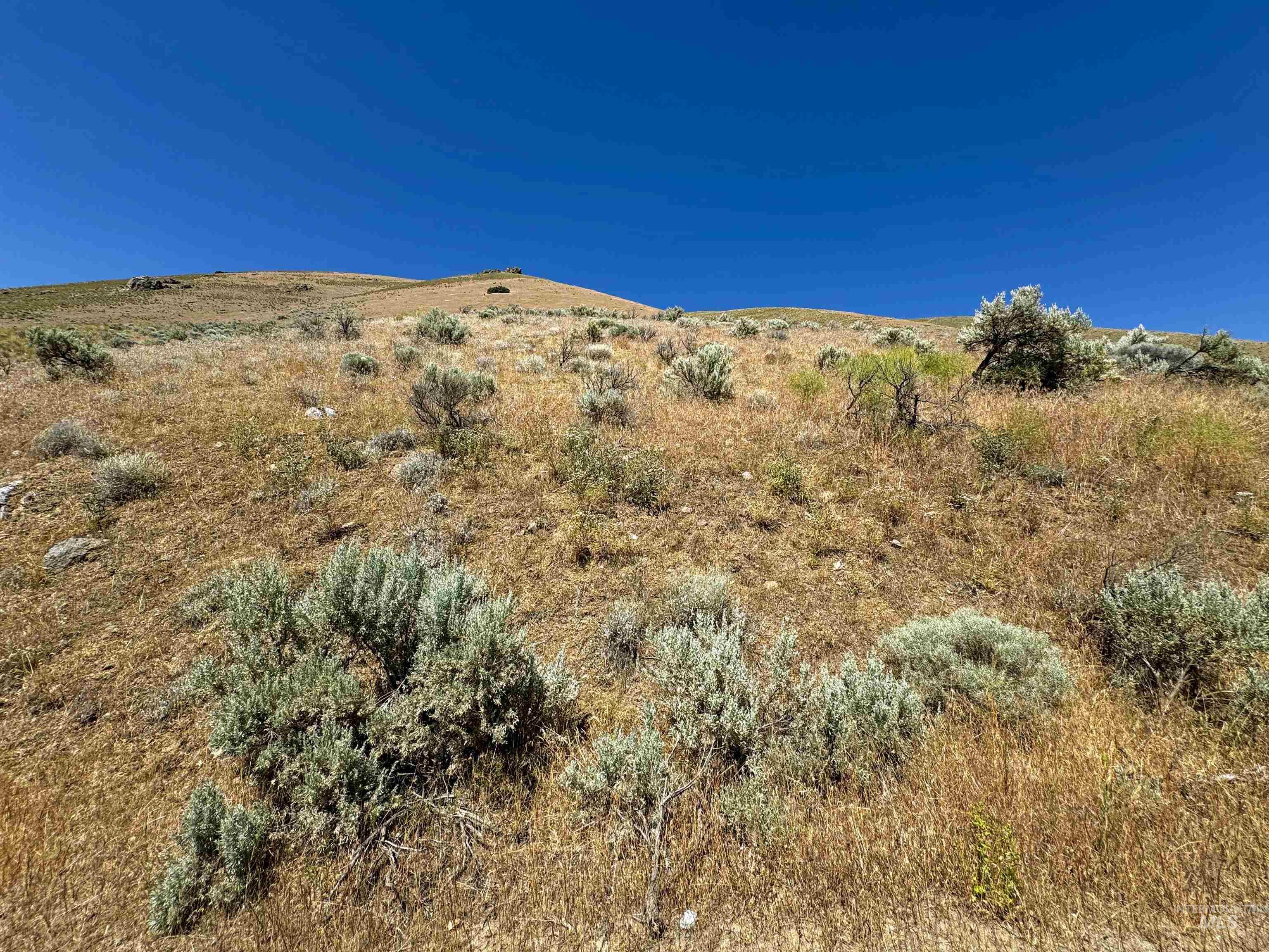 Lot 2, Parcel 1 Dennett Creek Rd, Weiser, Idaho 83672, Land For Sale, Price $75,000, 98914682