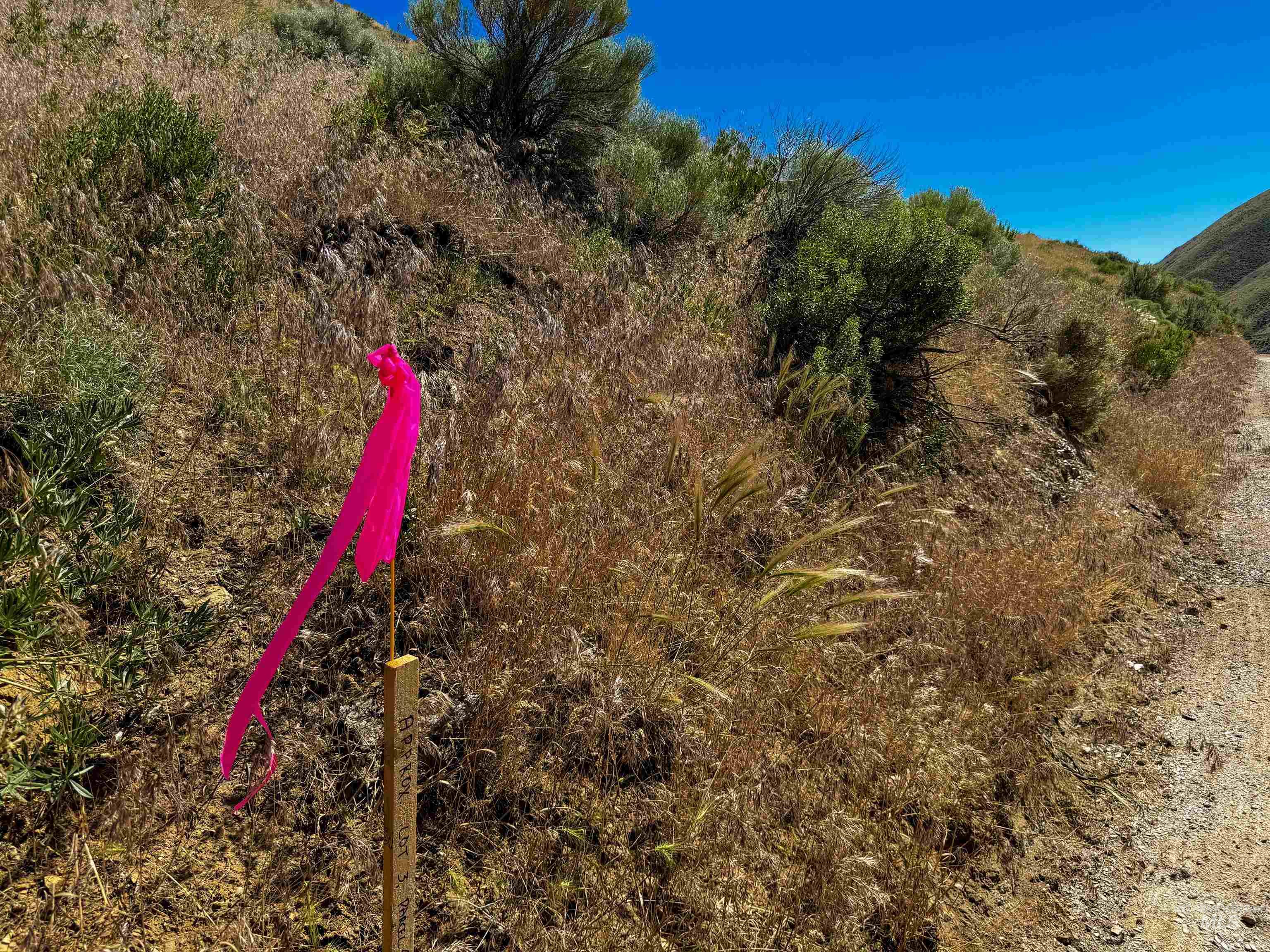 Lot 3, Parcel 1 Rock Creek Rd, Weiser, Idaho 83672, Land For Sale, Price $110,000, 98914710