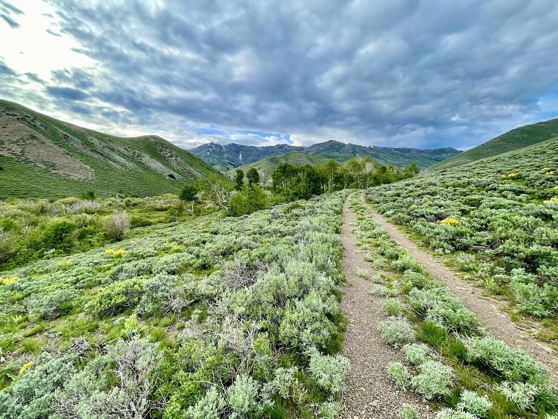 Fish Creek Rd, Carey, Idaho 83320, Farm & Ranch For Sale, Price $4,500,000,MLS 98914754