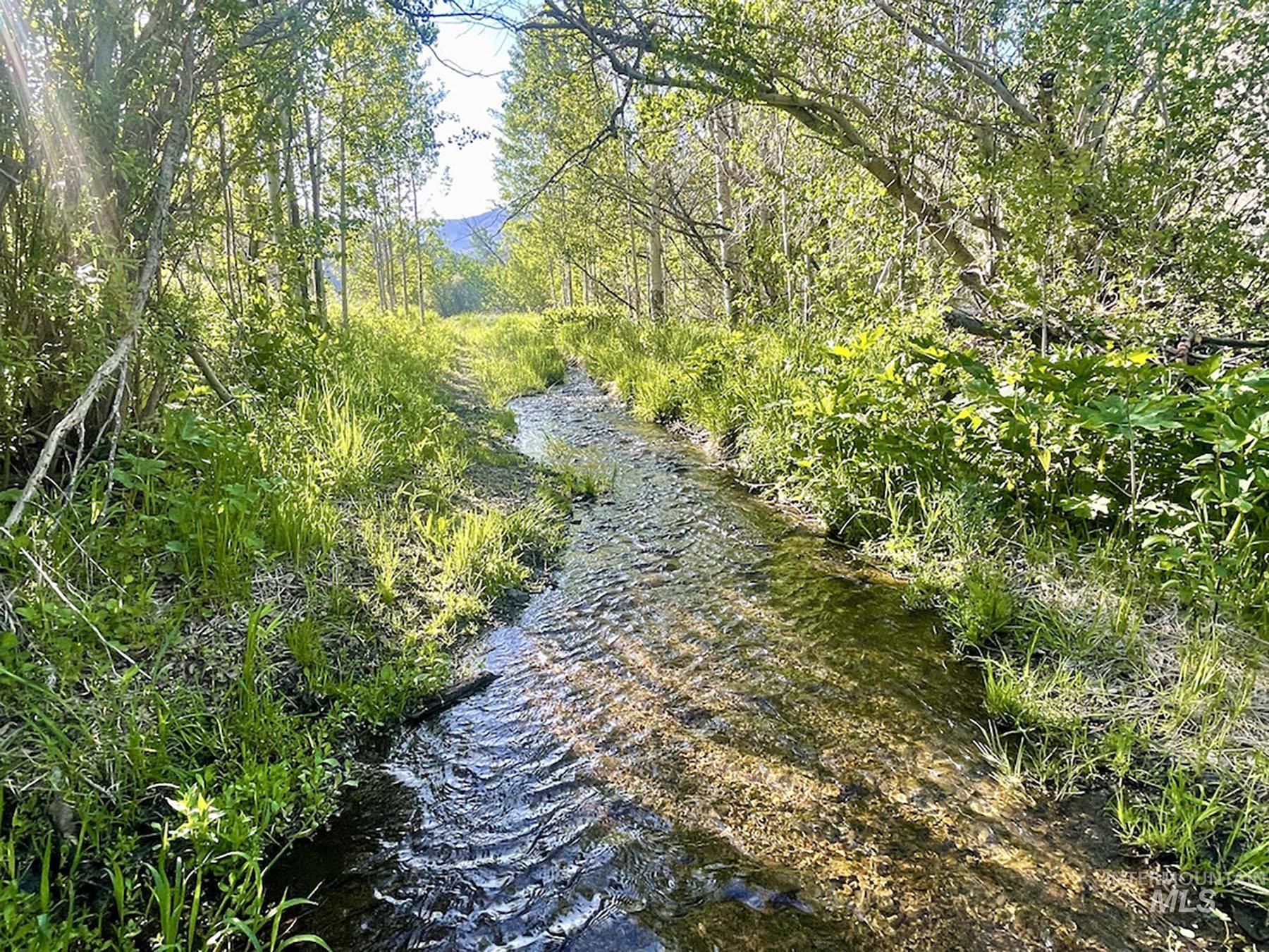 Fish Creek Rd, Carey, Idaho 83320, Farm & Ranch For Sale, Price $4,500,000,MLS 98914754