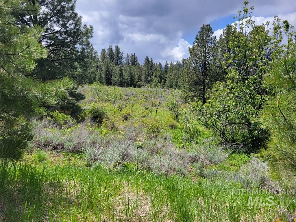 21.94 AC Goode Lane, Donnelly, Idaho 83615, Land For Sale, Price $925,500,MLS 98914774