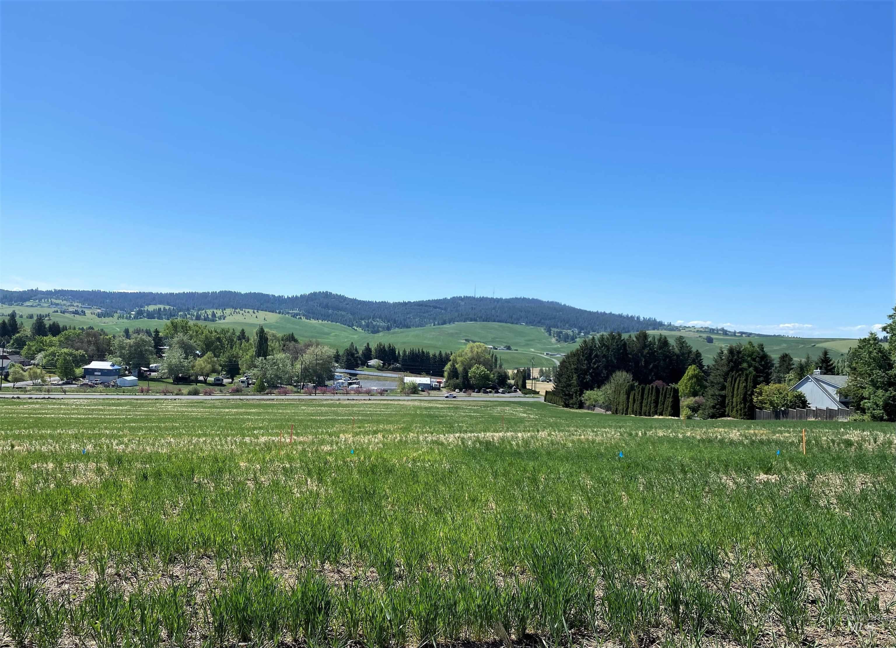 2912 Cyprus Court, Moscow, Idaho 83843, Land For Sale, Price $125,000, 98914795