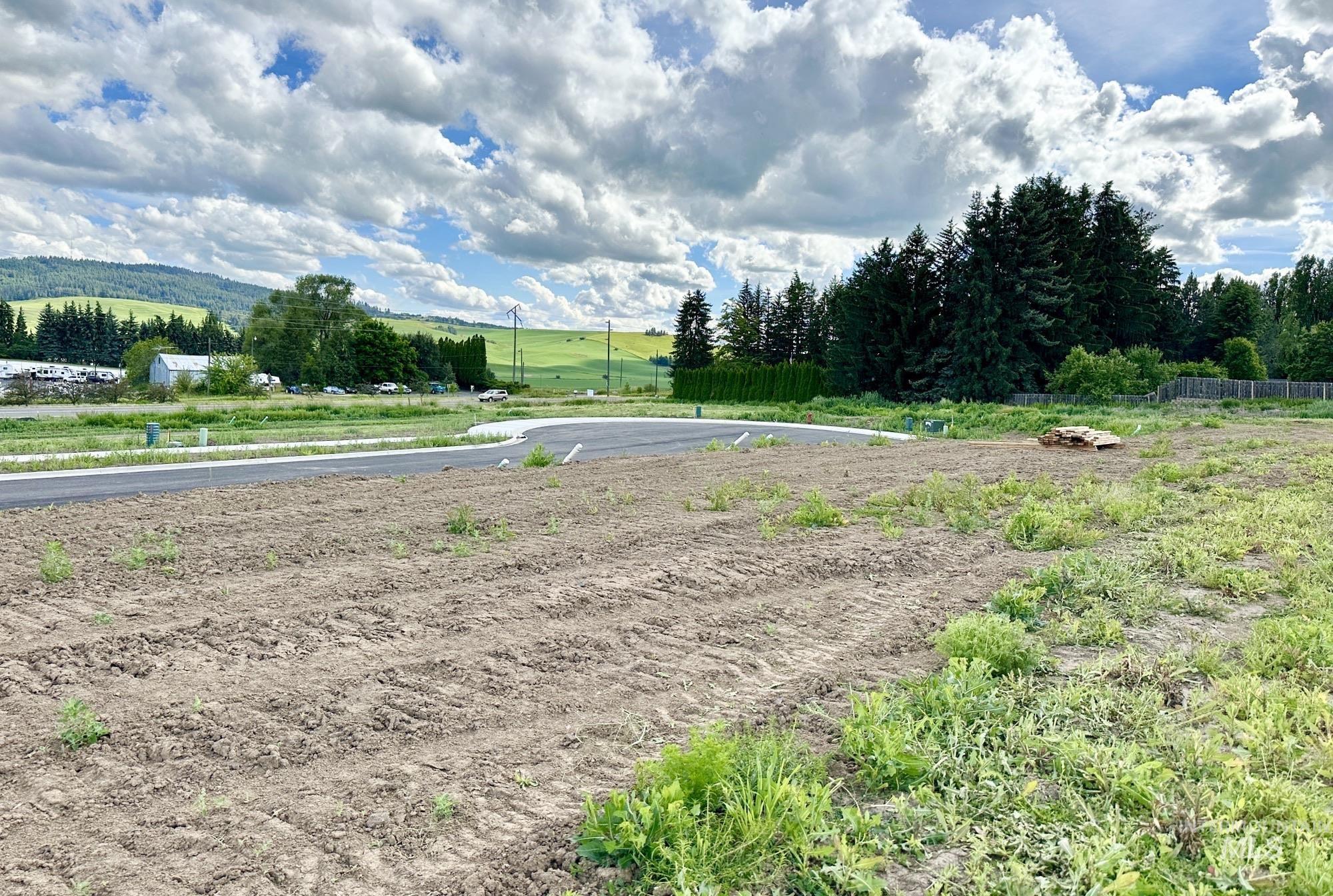 2906 Cyprus Court, Moscow, Idaho 83843, Land For Sale, Price $125,000, 98914797