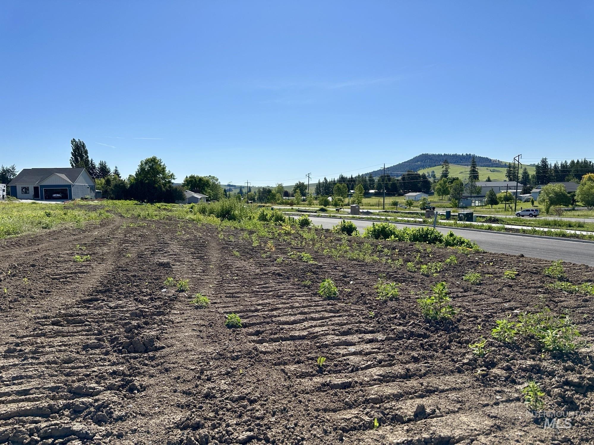 2806 Cyprus Court, Moscow, Idaho 83843, Land For Sale, Price $125,000, 98914810