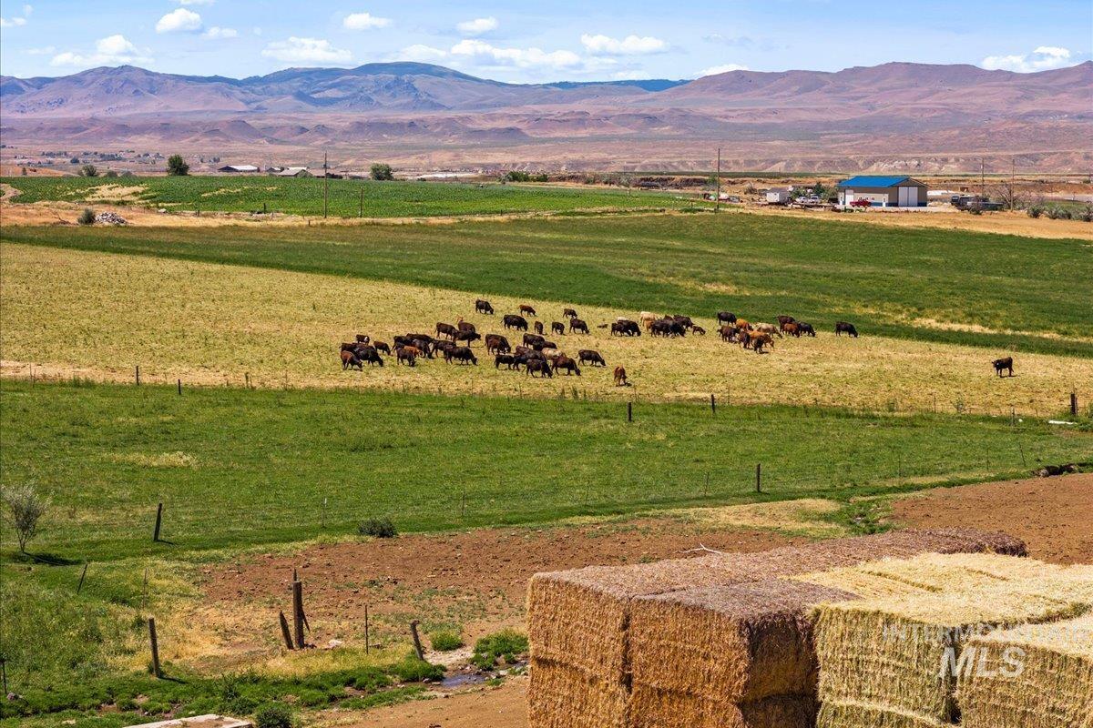 2283 Canyon Rd S, Melba, Idaho 83641, 3 Bedrooms, 2 Bathrooms, Farm & Ranch For Sale, Price $1,700,000, 98914870