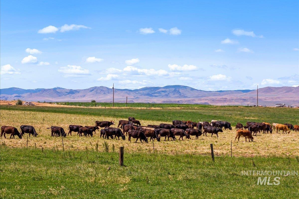 2283 Canyon Rd S, Melba, Idaho 83641, 3 Bedrooms, 2 Bathrooms, Farm & Ranch For Sale, Price $1,700,000, 98914870