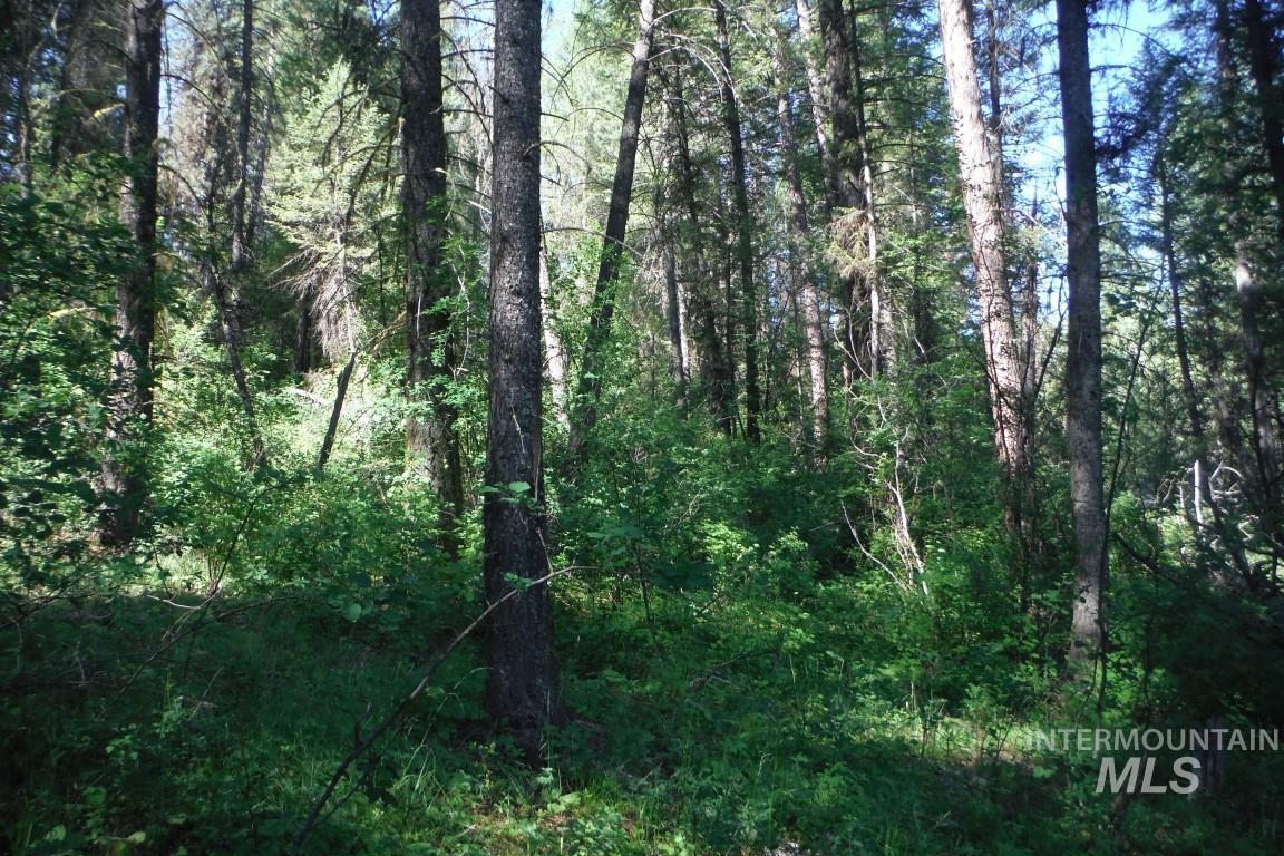 10 Acre Red Fir Place, Boise, Idaho 83716, Land For Sale, Price $250,000,MLS 98914979