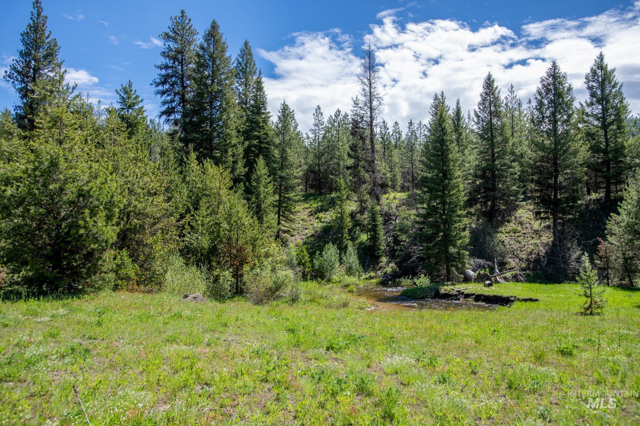 TBD 36 Clear Creek Road, Cascade, Idaho 83611, Land For Sale, Price $422,875, 98915041