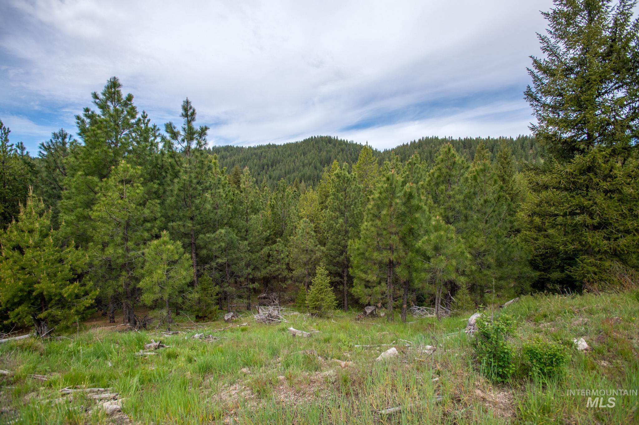 TBD 36 Clear Creek Road, Cascade, Idaho 83611, Land For Sale, Price $422,875, 98915041