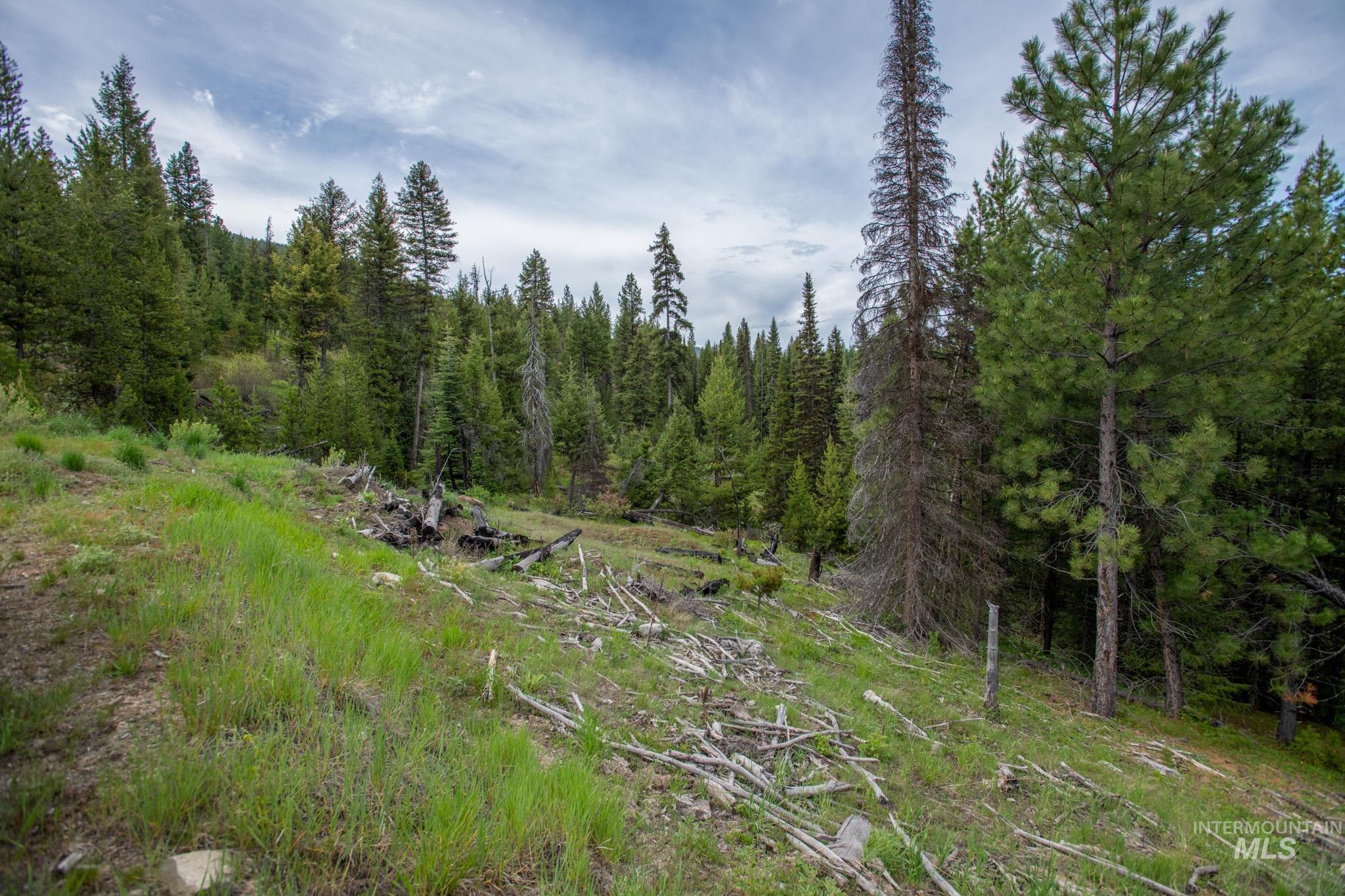 TBD 36 Clear Creek Road, Cascade, Idaho 83611, Land For Sale, Price $422,875, 98915041