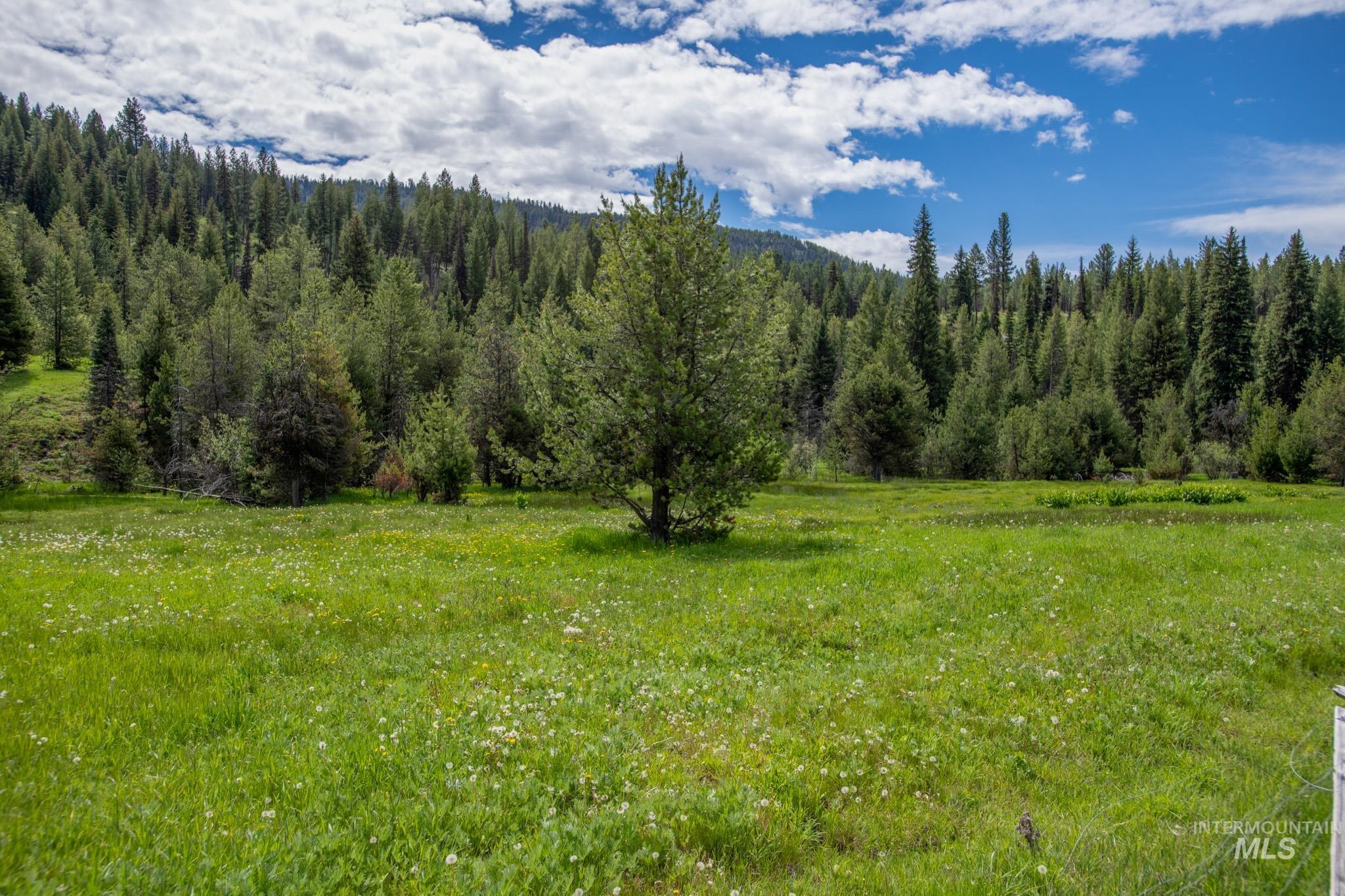 TBD 39 Clear Creek Road, Cascade, Idaho 83611, Land For Sale, Price $320,875, 98915098