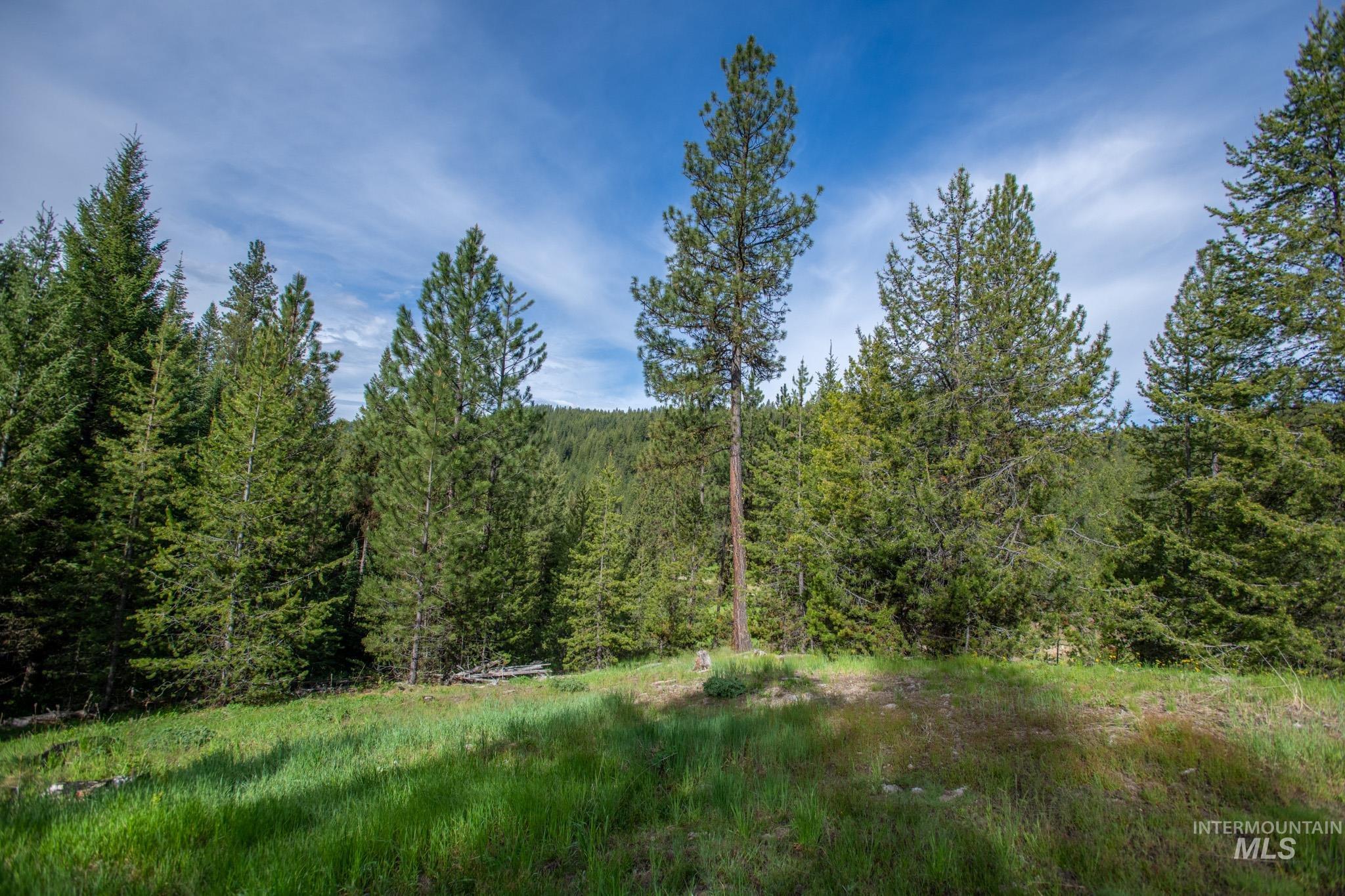 TBD 41 Clear Creek Road, Cascade, Idaho 83611, Land For Sale, Price $405,875, 98915150