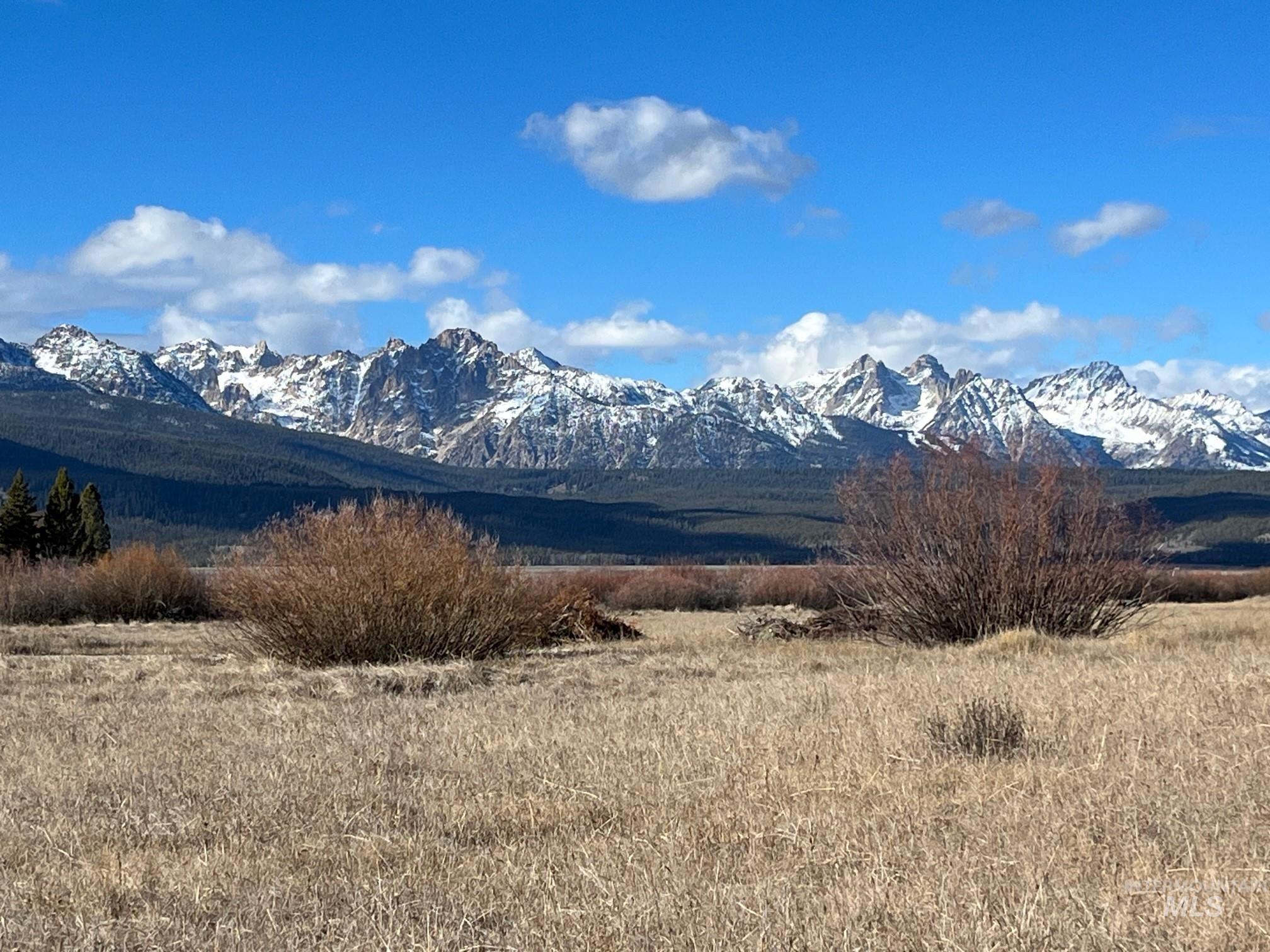 TBD Fisher Creek Loop, Stanley, Idaho 83278, Land For Sale, Price $750,000, 98915385