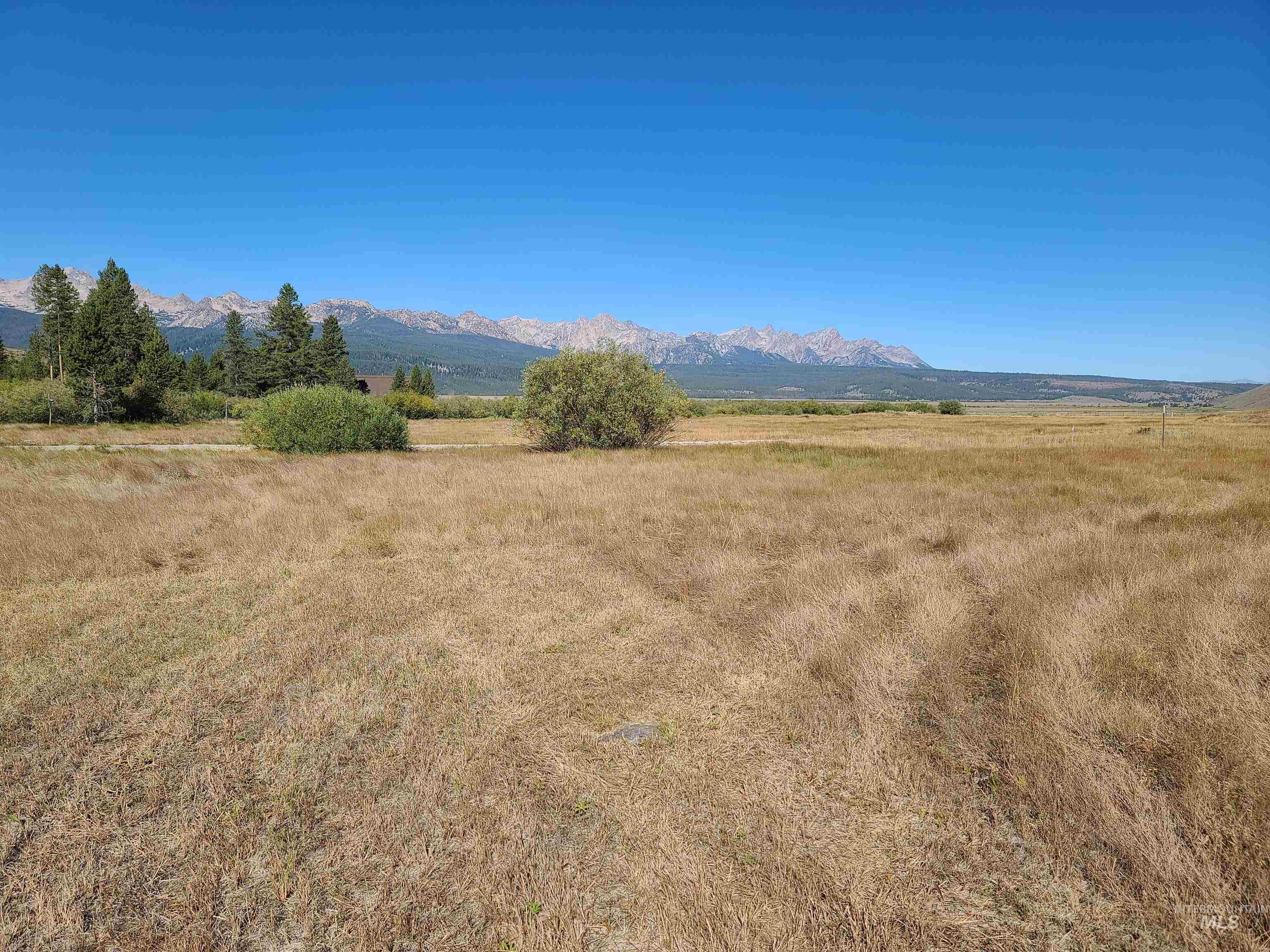TBD Fisher Creek Loop, Stanley, Idaho 83278, Land For Sale, Price $750,000, 98915385