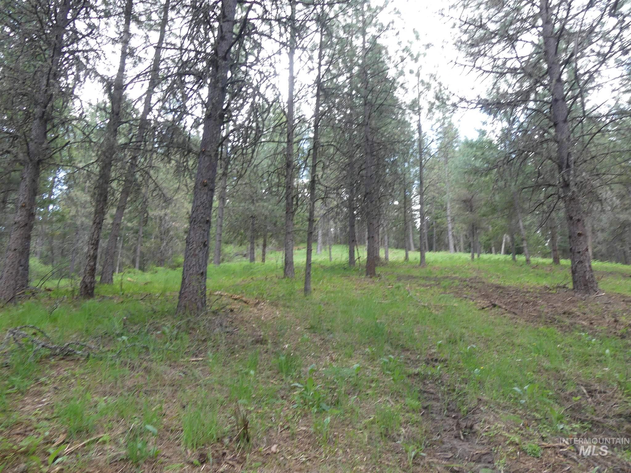 22743 Old Melrose Grade, Peck, Idaho 83545, Land For Sale, Price $250,000, 98915395