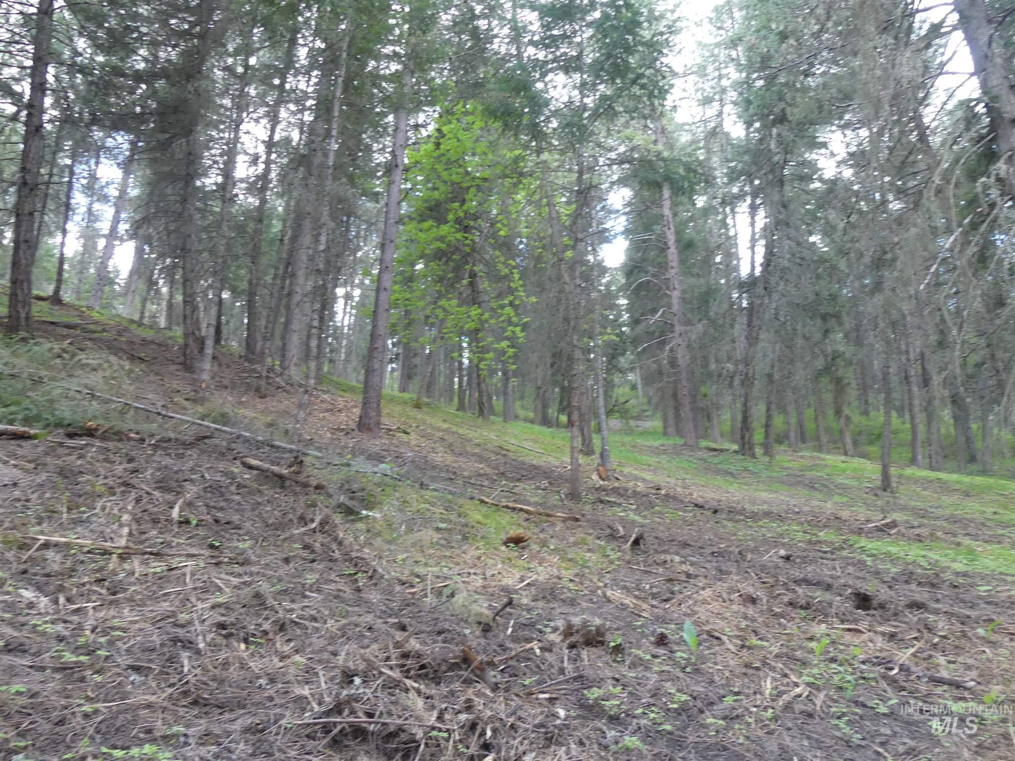 22743 Old Melrose Grade, Peck, Idaho 83545, Land For Sale, Price $250,000, 98915395