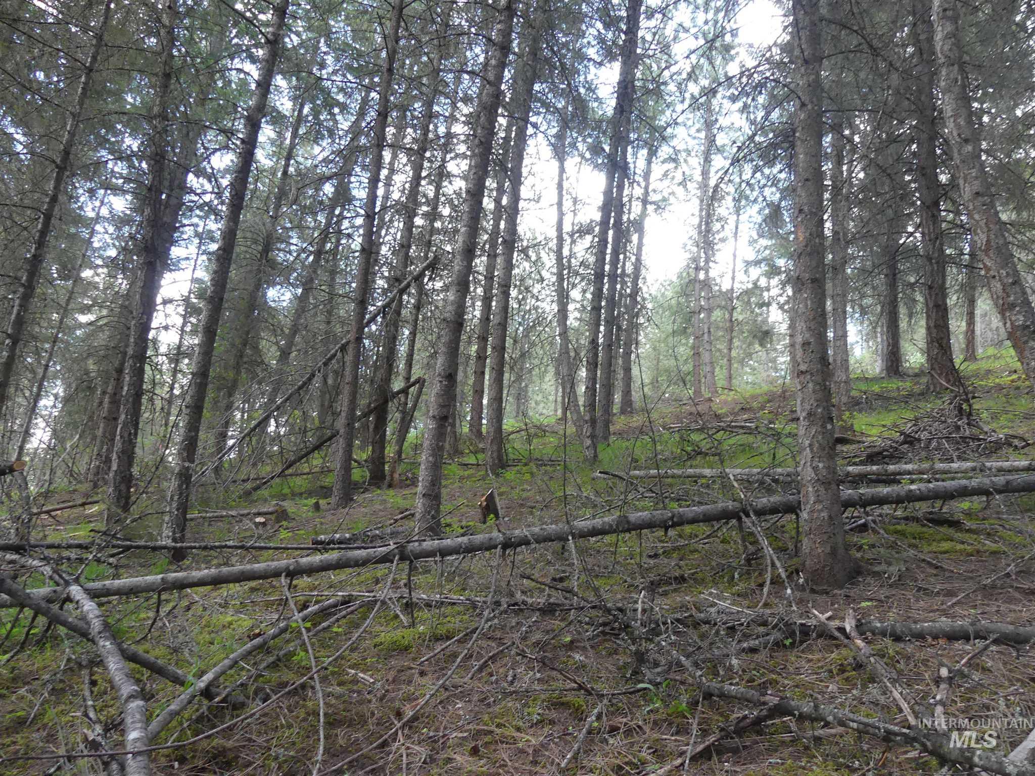 22743 Old Melrose Grade, Peck, Idaho 83545, Land For Sale, Price $250,000, 98915395