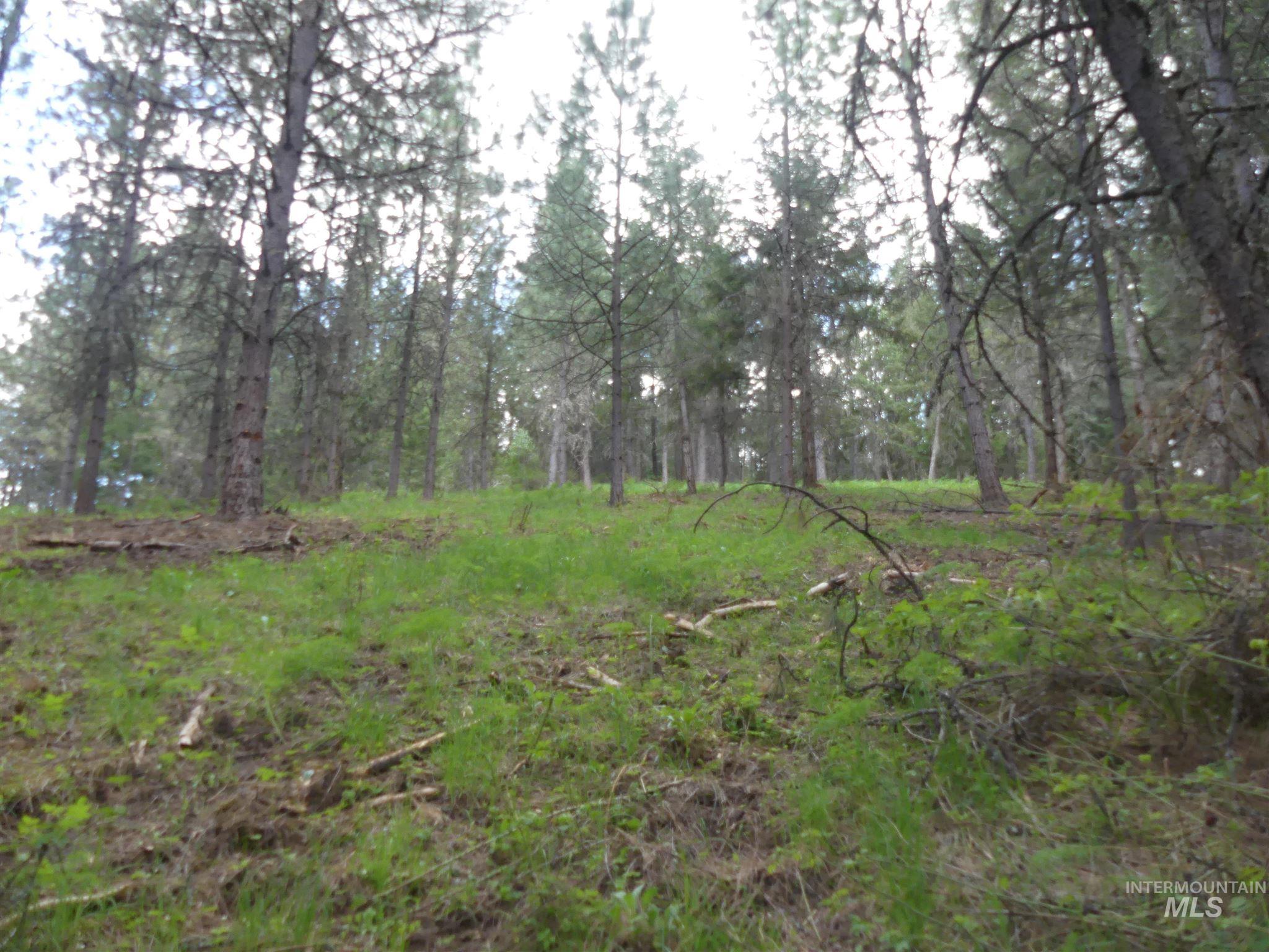 22743 Old Melrose Grade, Peck, Idaho 83545, Land For Sale, Price $250,000, 98915395
