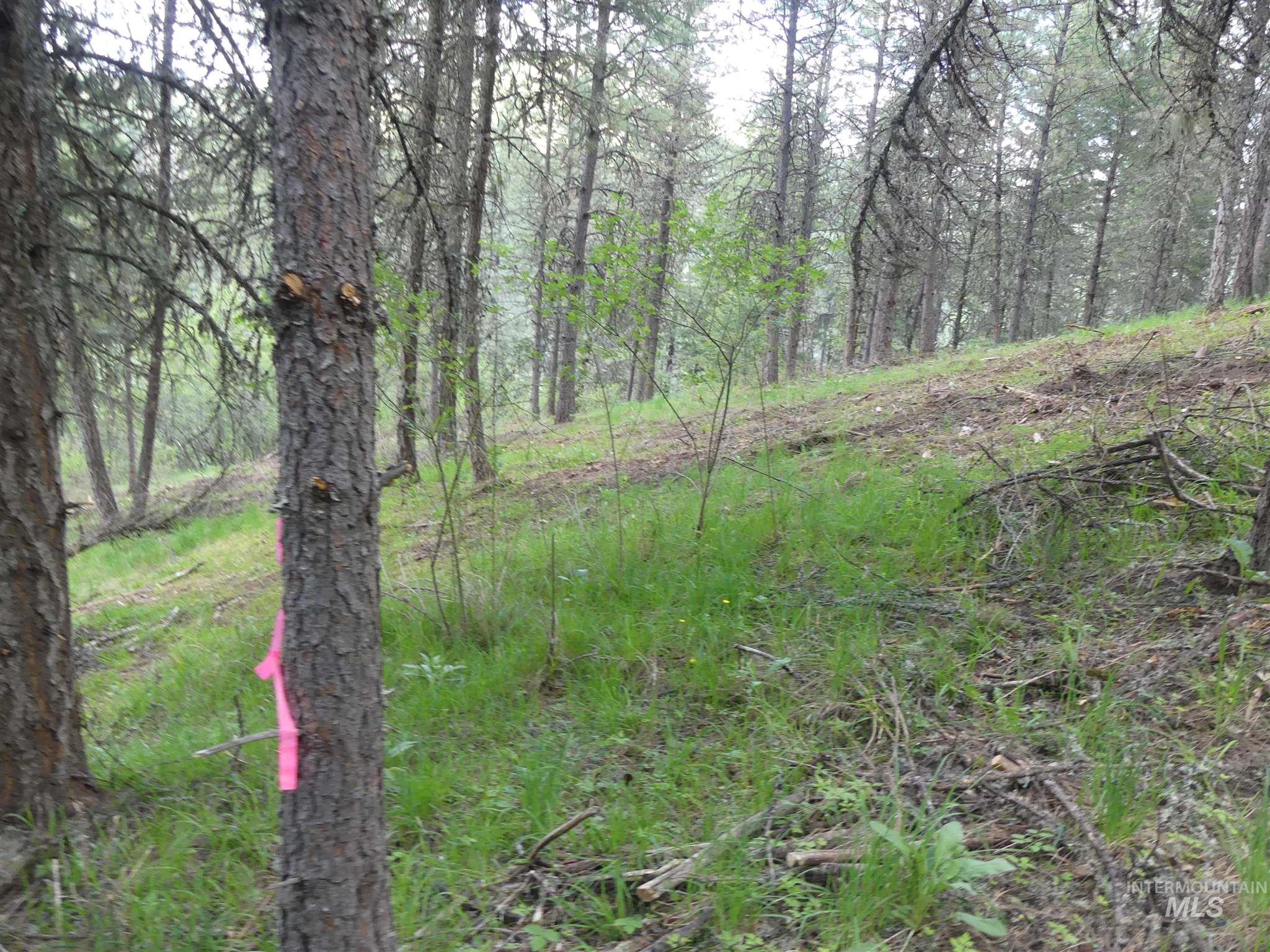 22743 Old Melrose Grade, Peck, Idaho 83545, Land For Sale, Price $250,000, 98915395