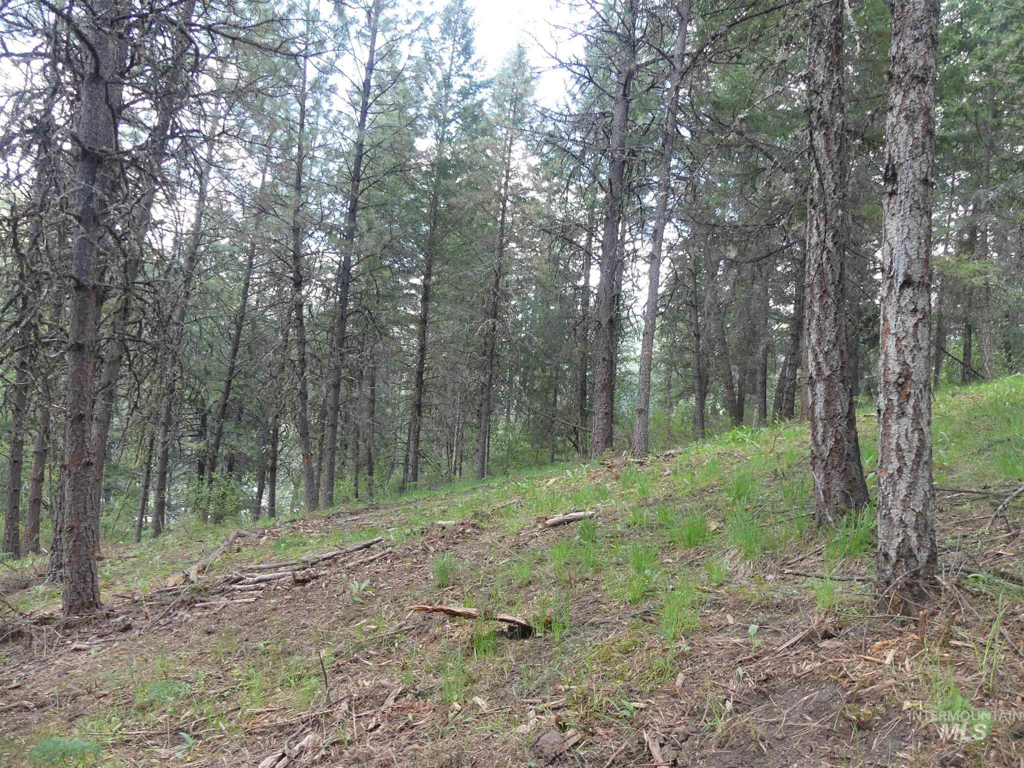 22743 Old Melrose Grade, Peck, Idaho 83545, Land For Sale, Price $250,000, 98915395