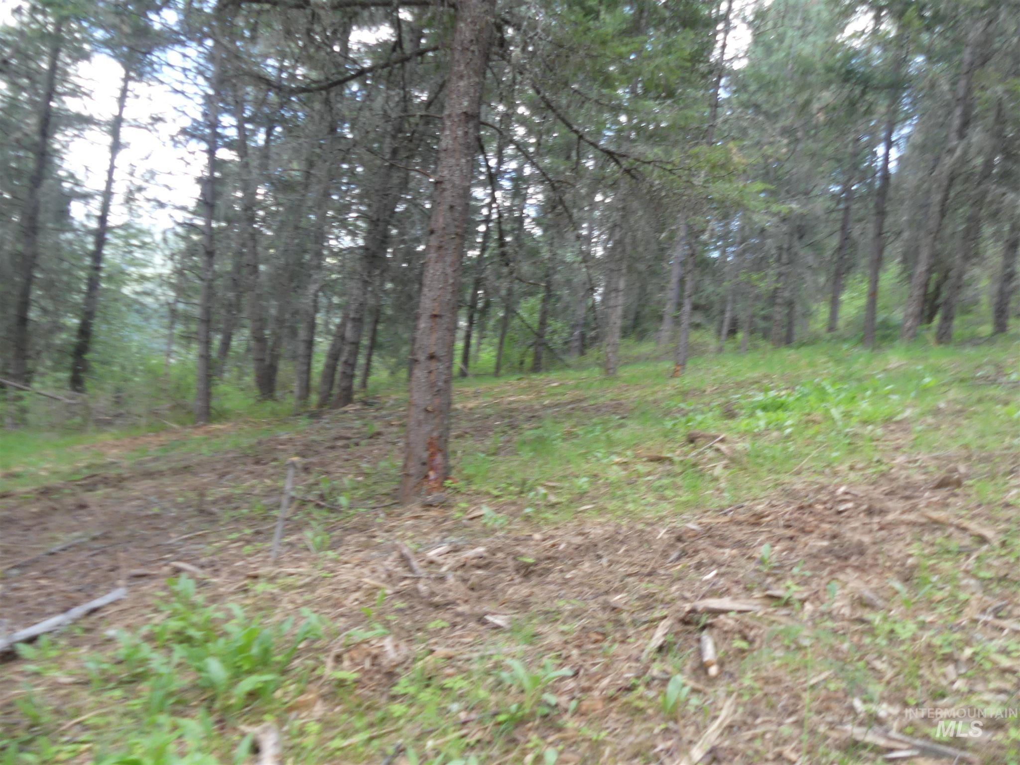 22743 Old Melrose Grade, Peck, Idaho 83545, Land For Sale, Price $250,000, 98915395