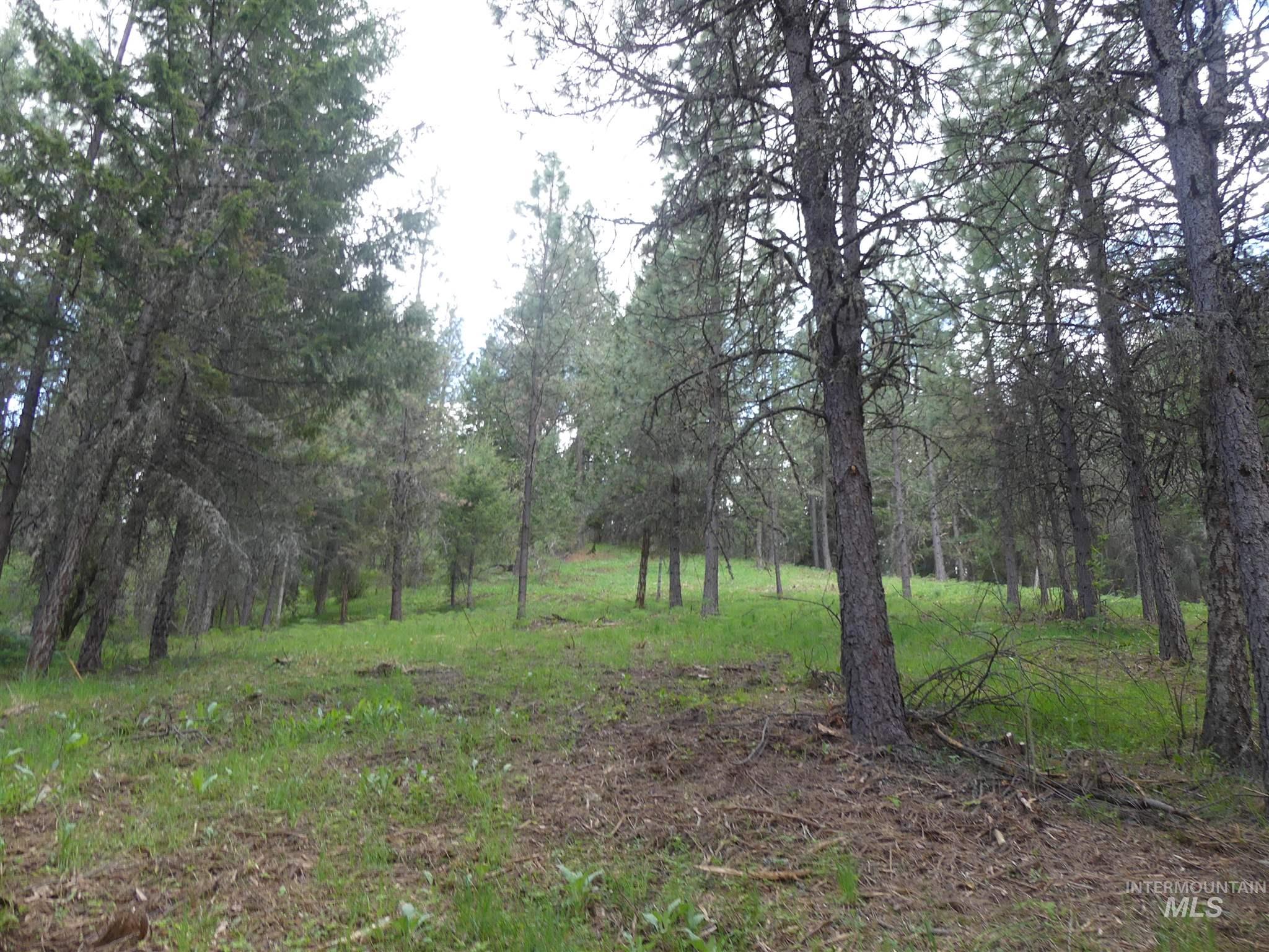 22743 Old Melrose Grade, Peck, Idaho 83545, Land For Sale, Price $250,000, 98915395
