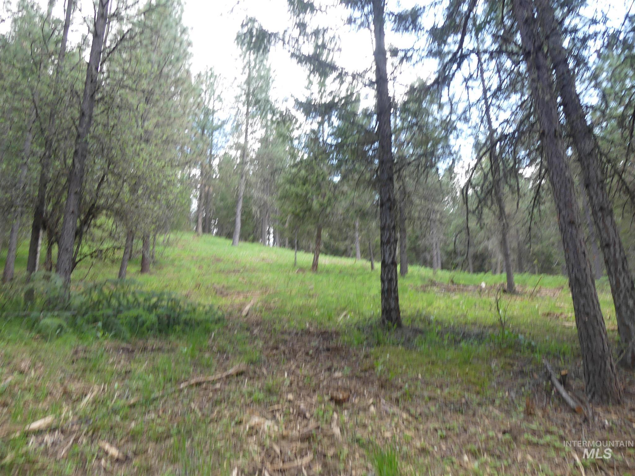 22743 Old Melrose Grade, Peck, Idaho 83545, Land For Sale, Price $250,000, 98915395