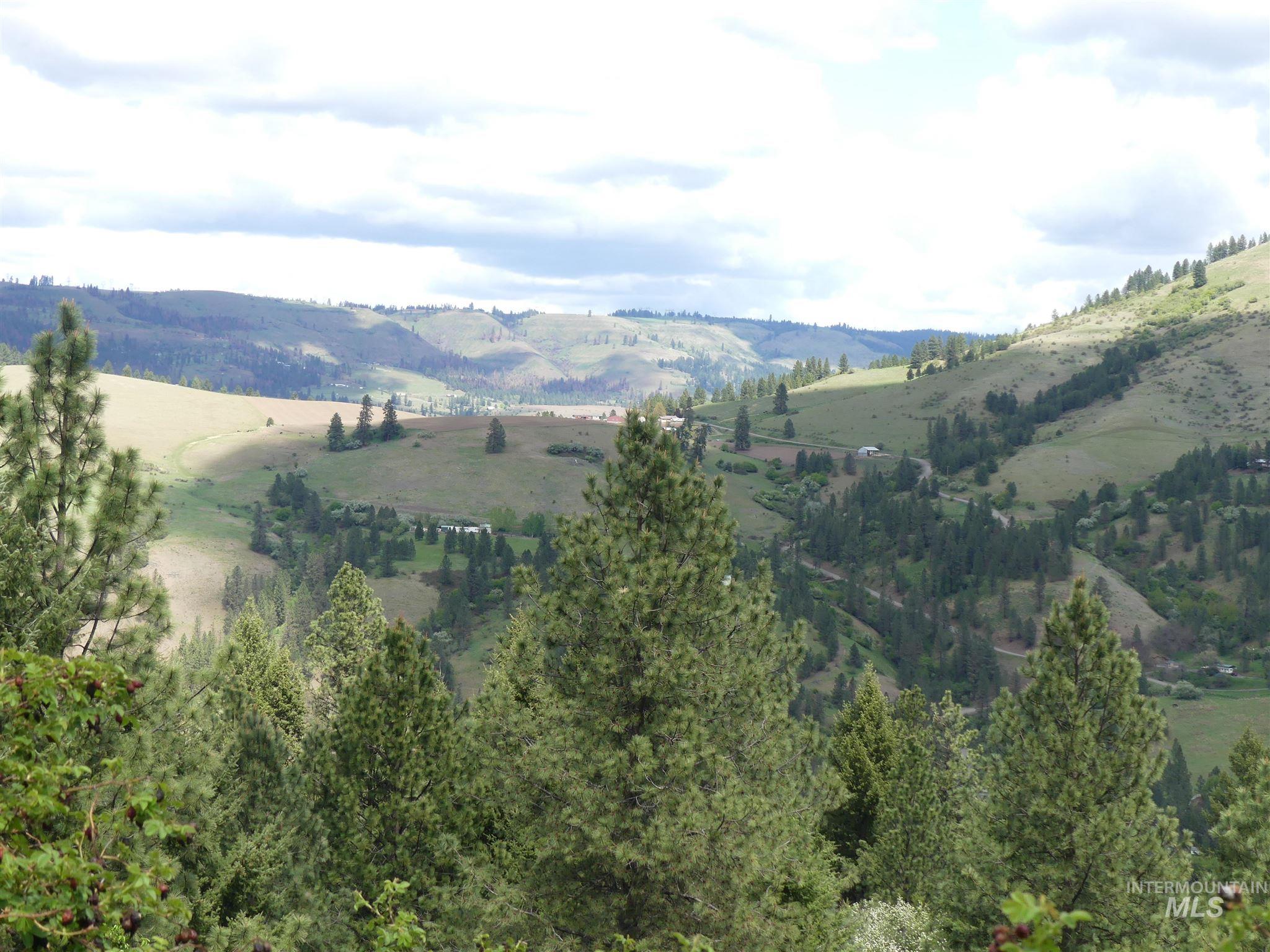 22743 Old Melrose Grade, Peck, Idaho 83545, Land For Sale, Price $250,000, 98915395