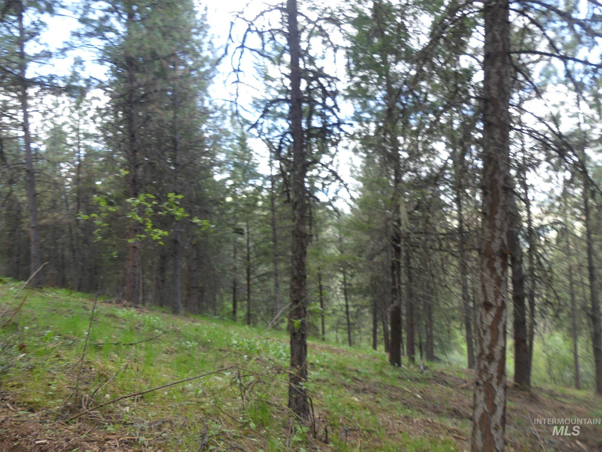 22743 Old Melrose Grade, Peck, Idaho 83545, Land For Sale, Price $250,000, 98915395