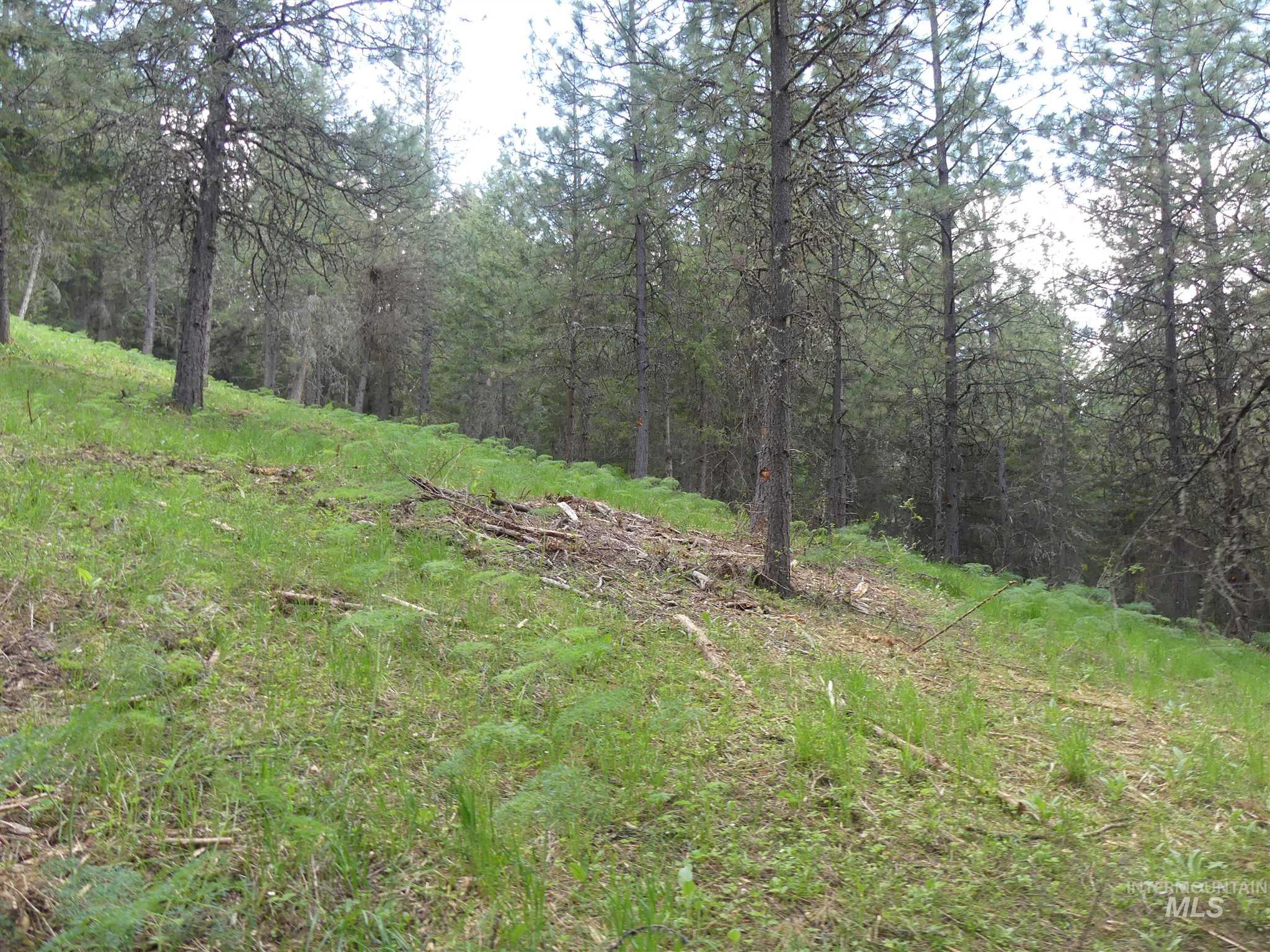 22743 Old Melrose Grade, Peck, Idaho 83545, Land For Sale, Price $250,000, 98915395